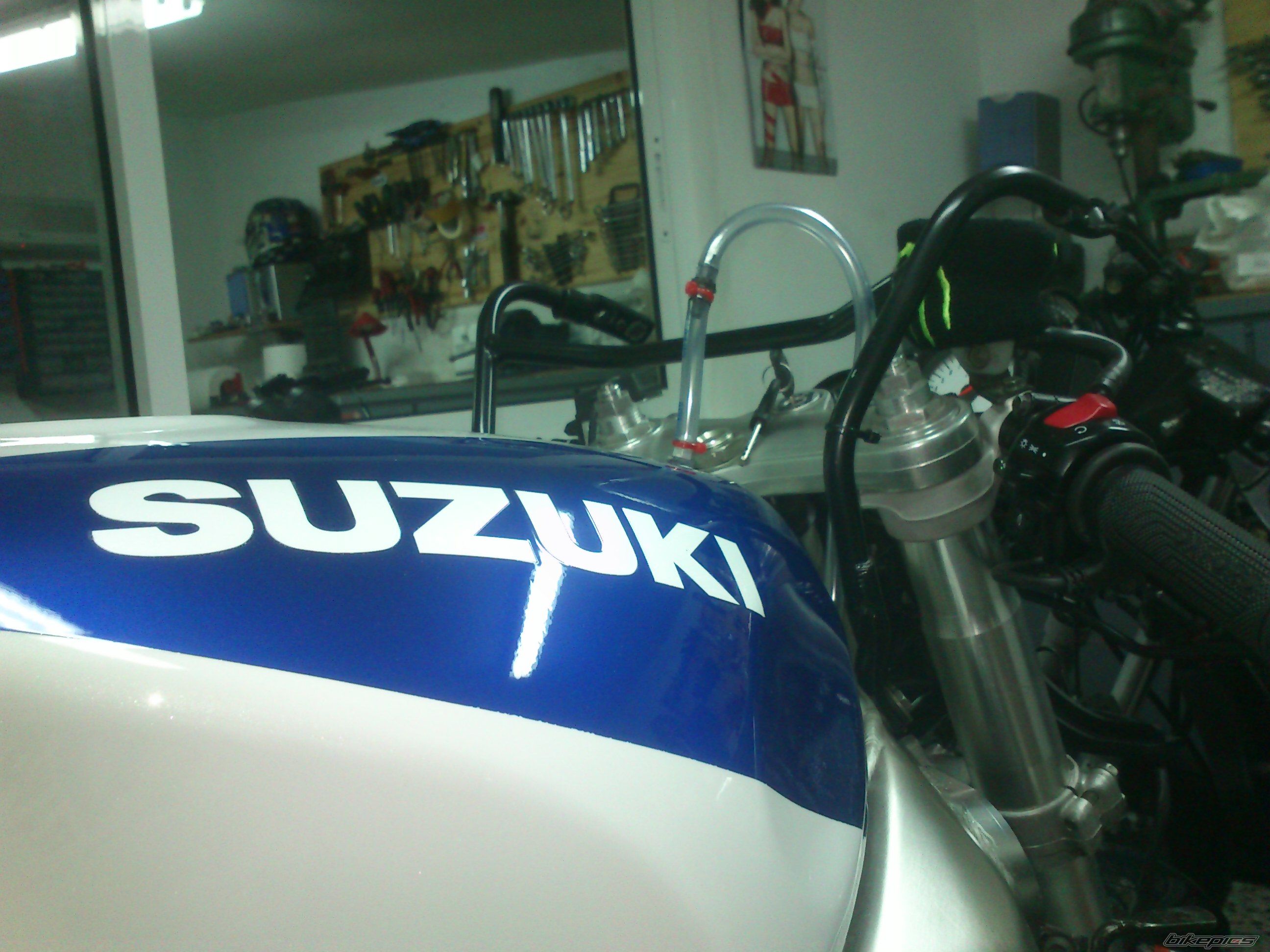 Photo 2548912