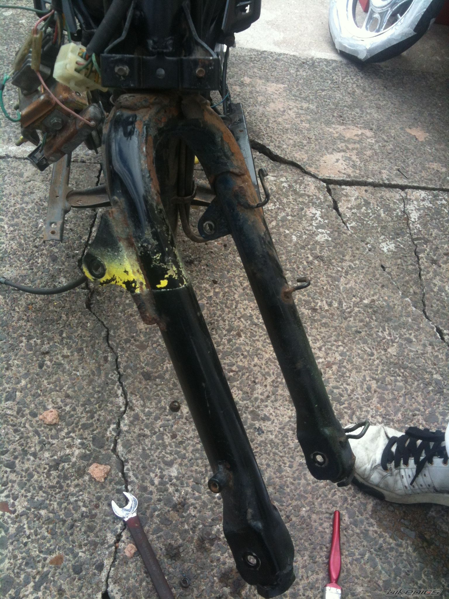 Photo 2548934