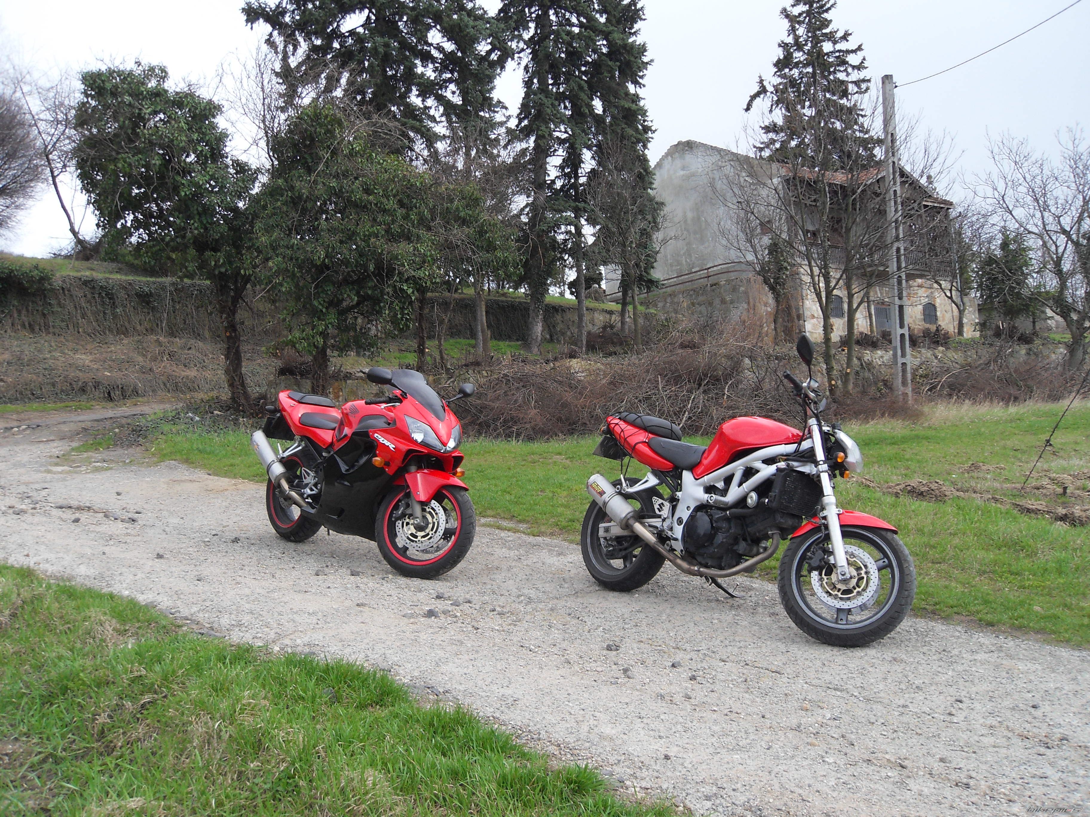 Photo 2548963