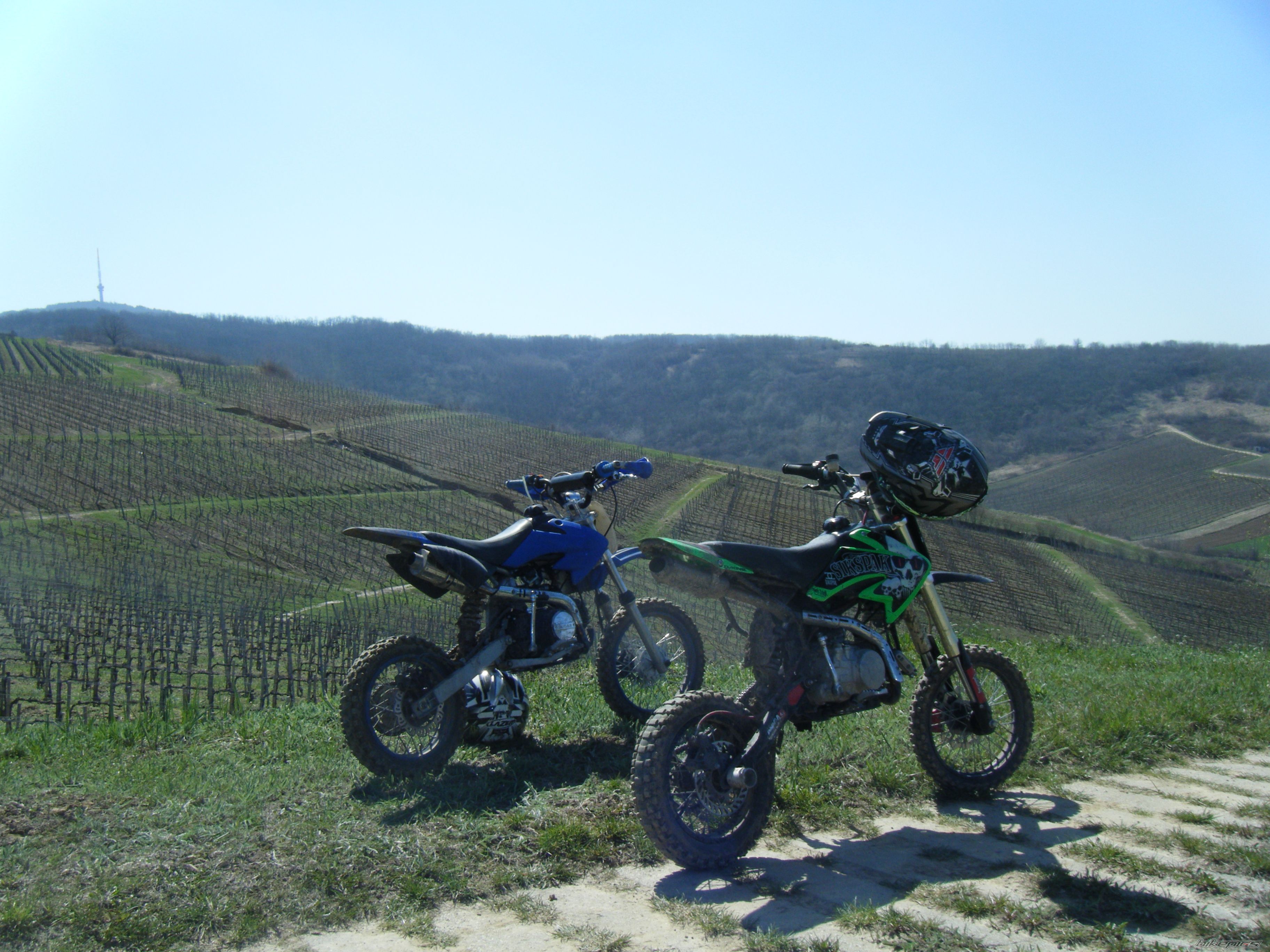 Photo 2548968