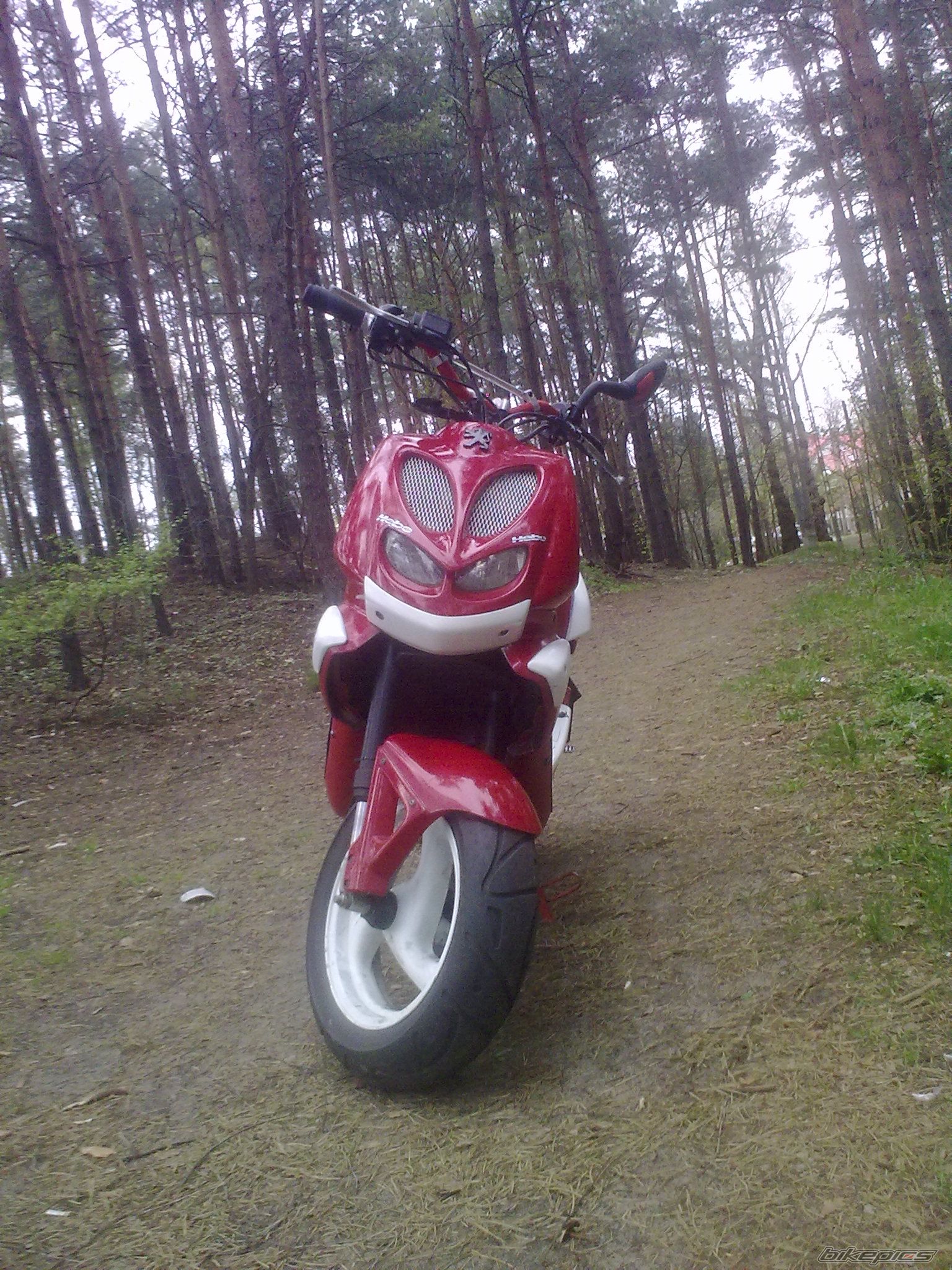Photo 2549007
