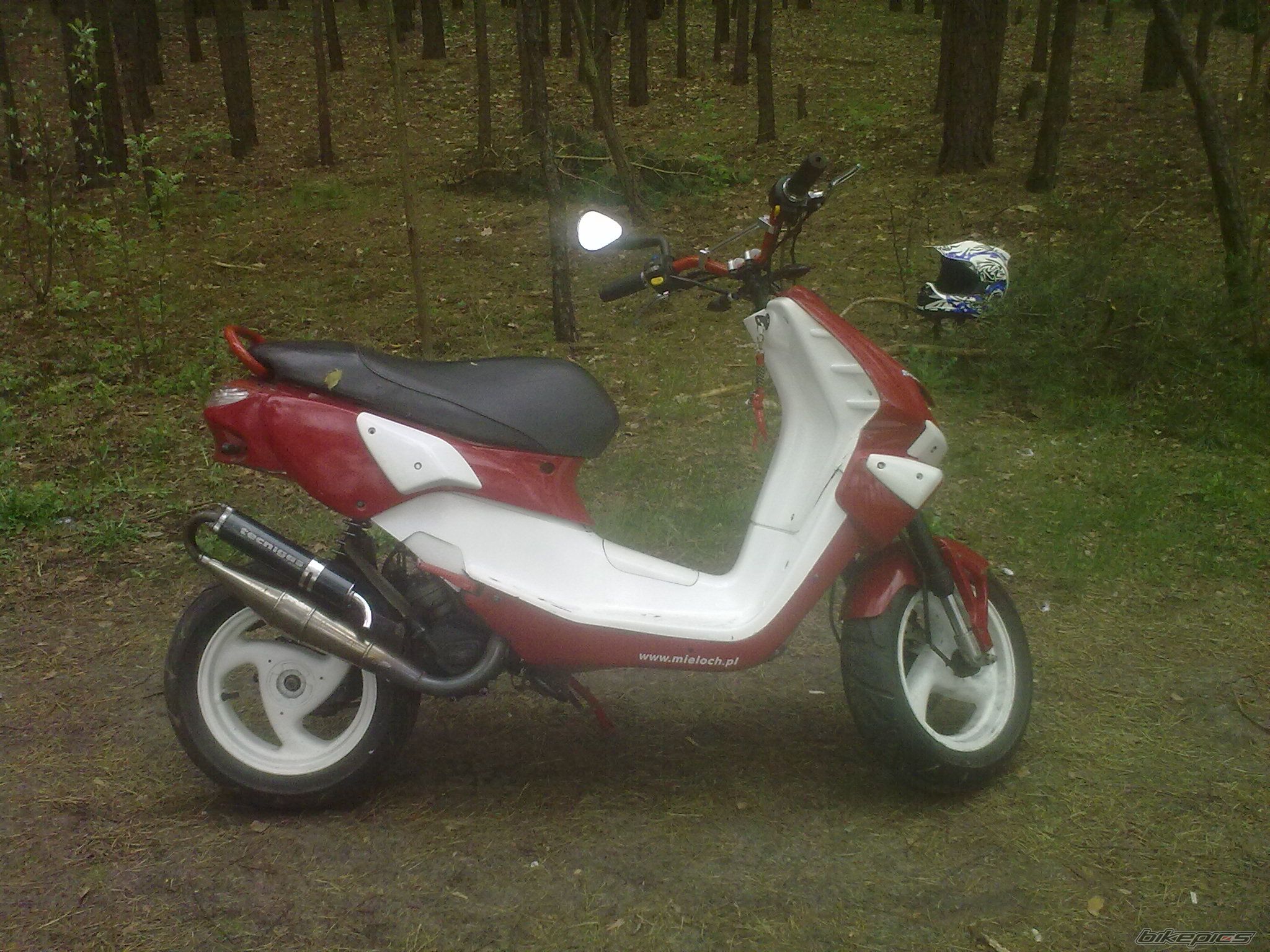 Photo 2549009