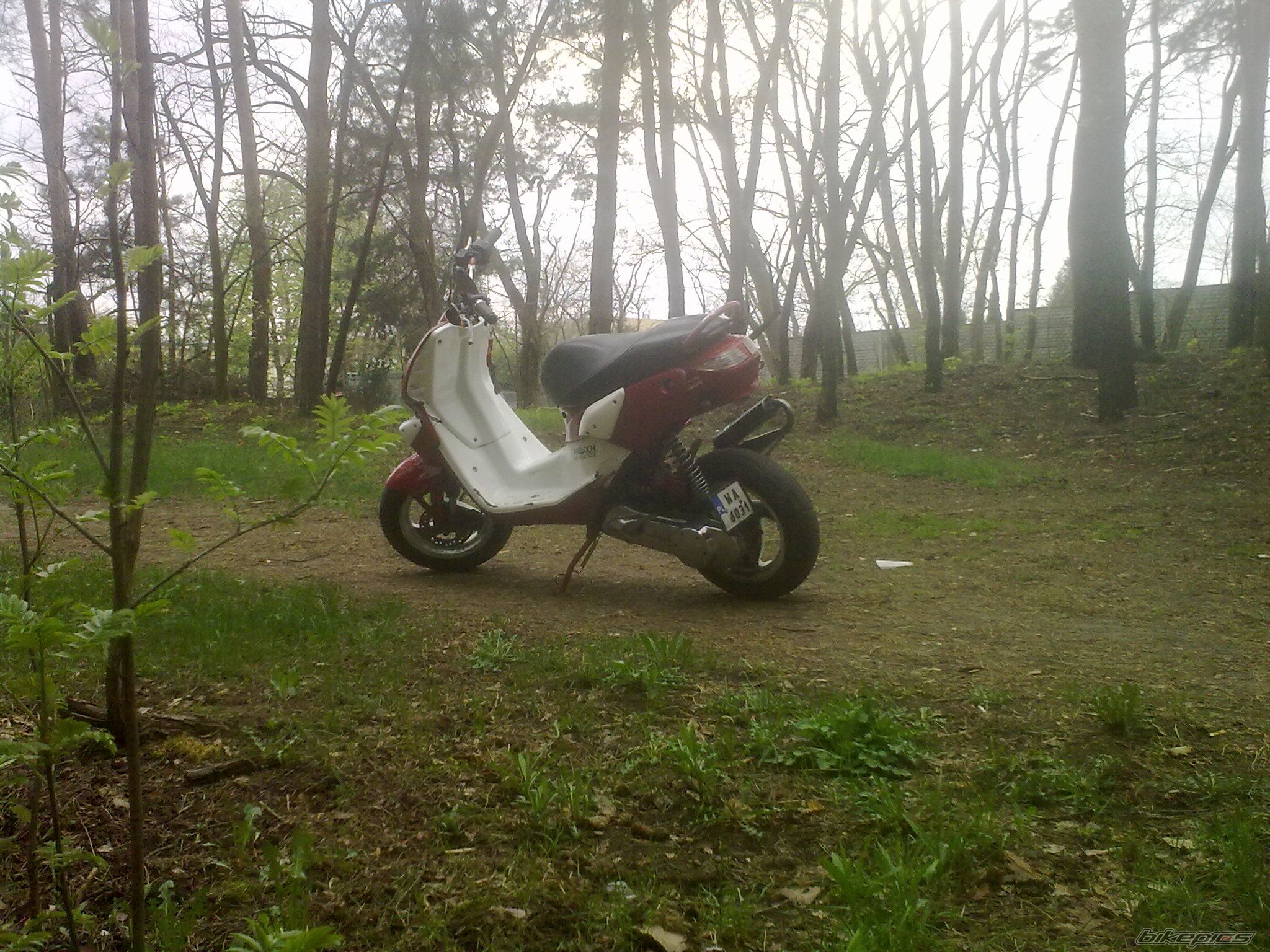 Photo 2549010