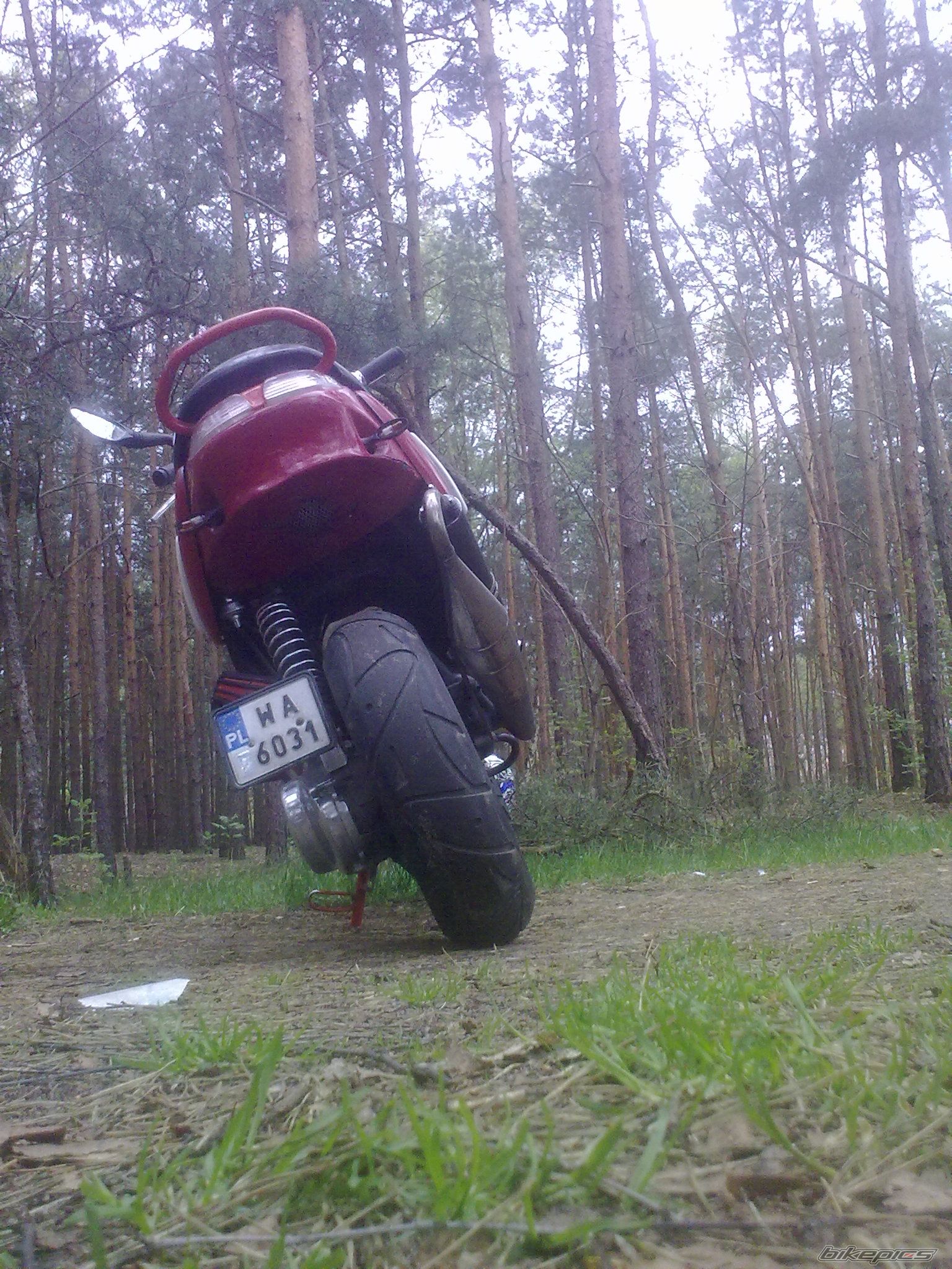 Photo 2549012