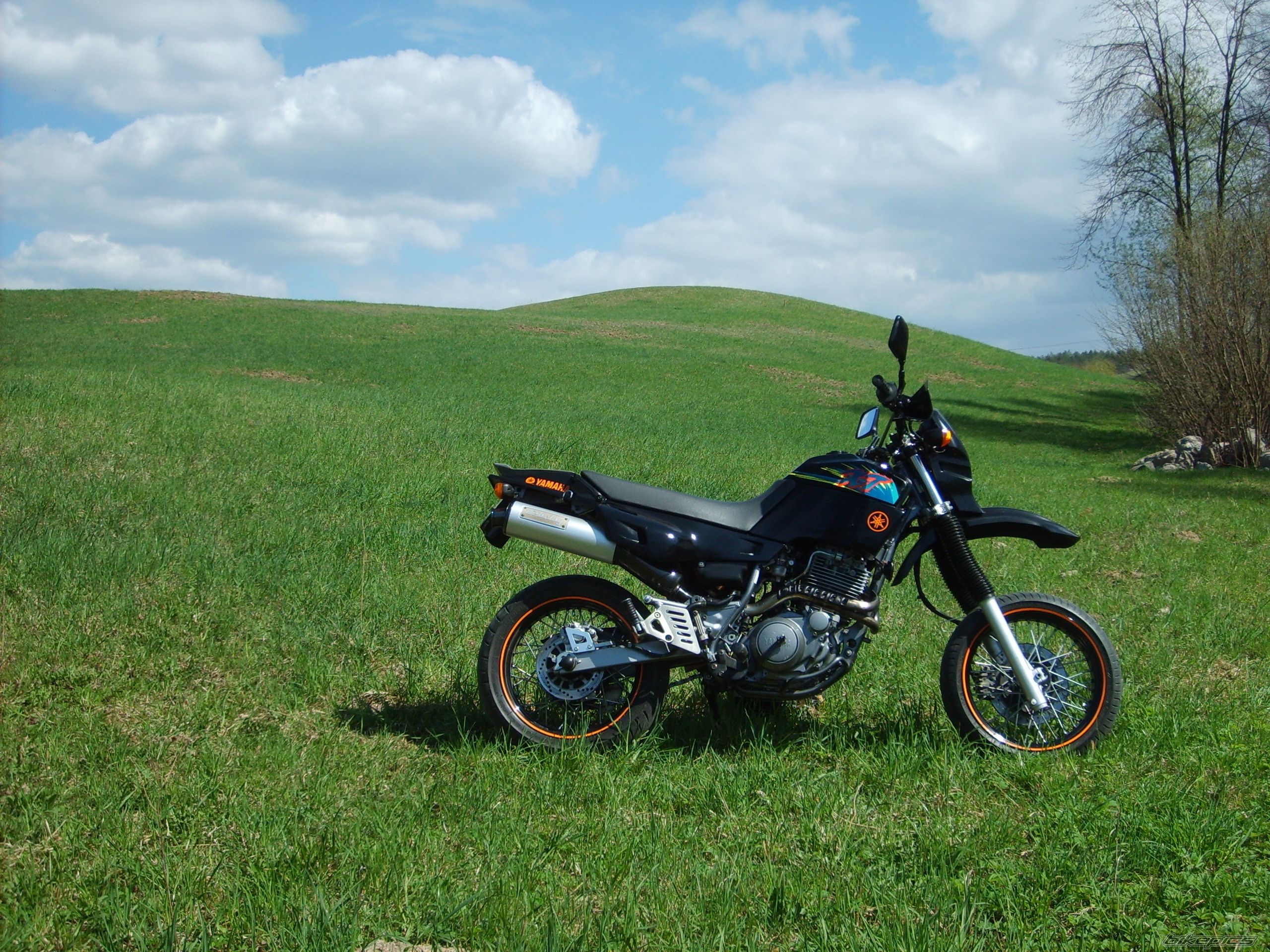 Photo 2549036