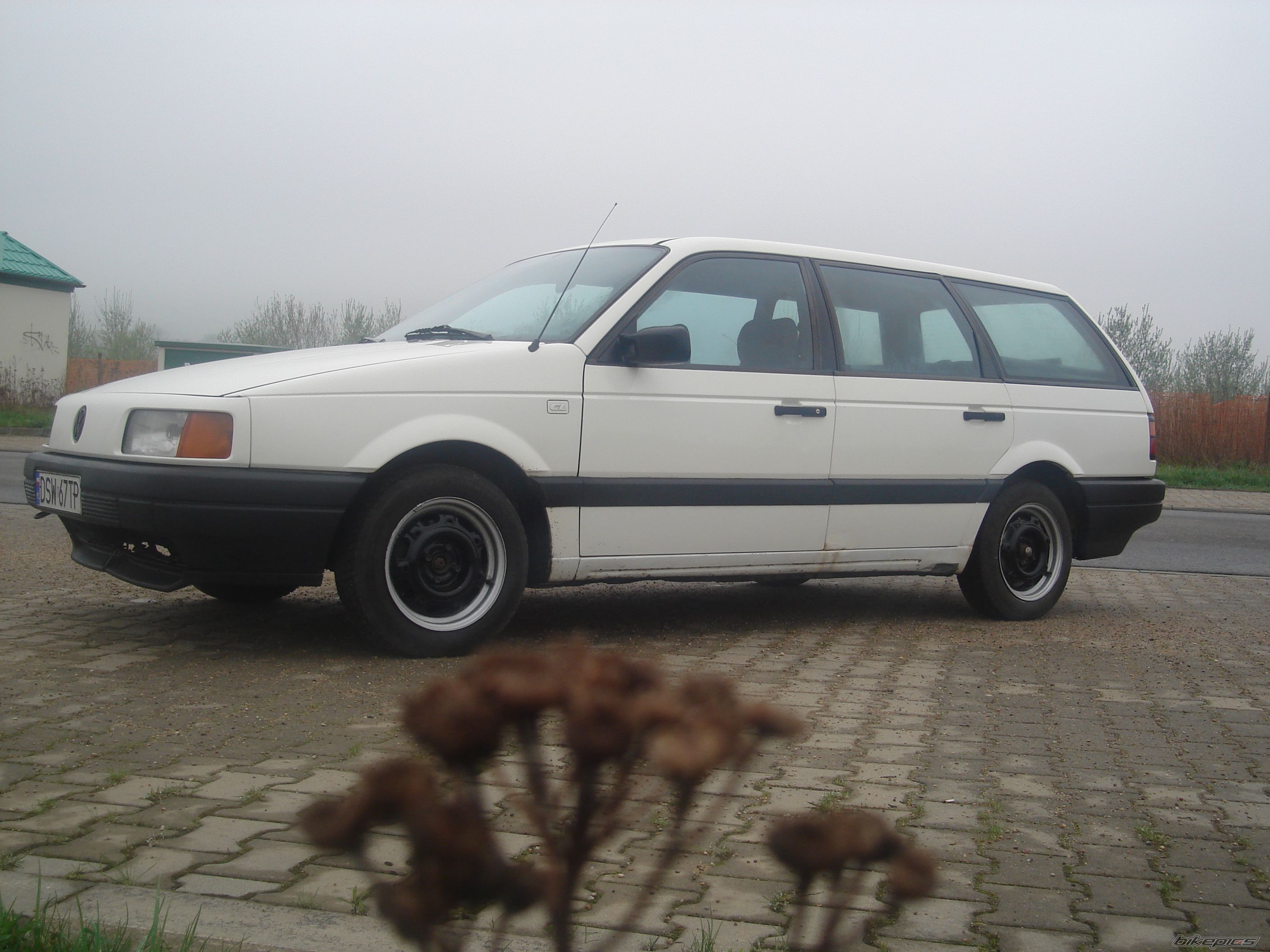 Photo 2549074