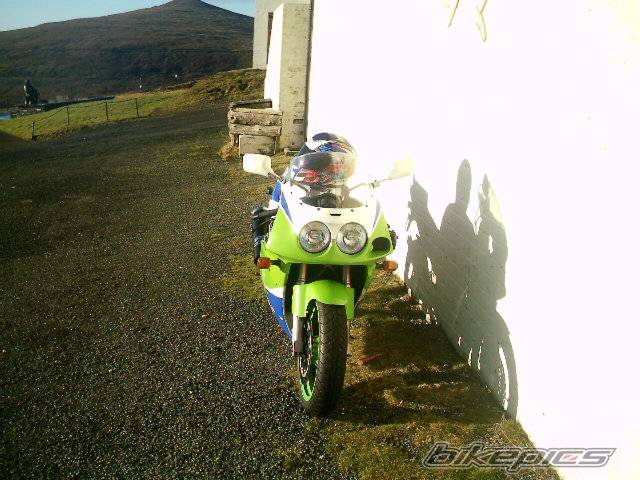 Photo 254908