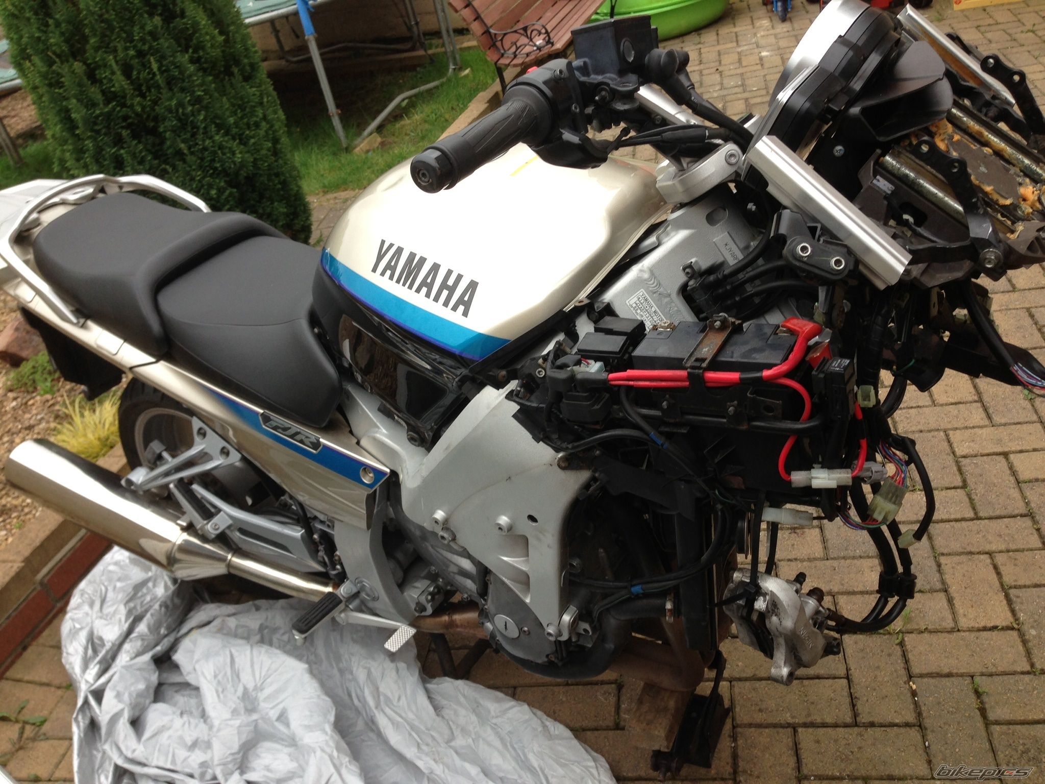 Photo 2549224