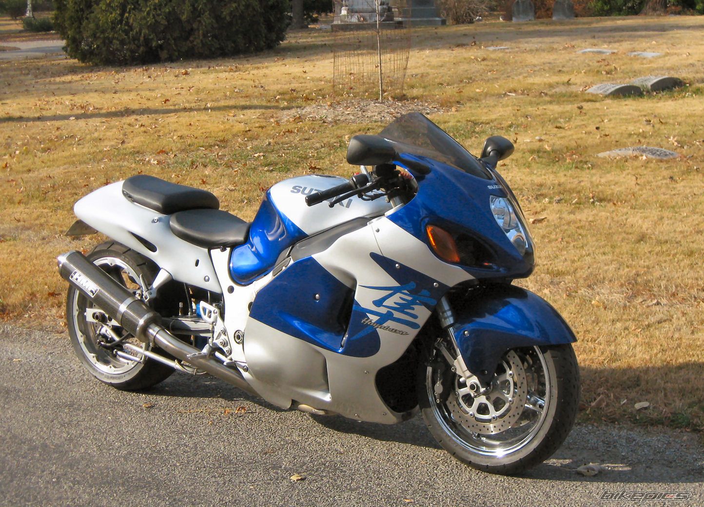 Photo 2549232