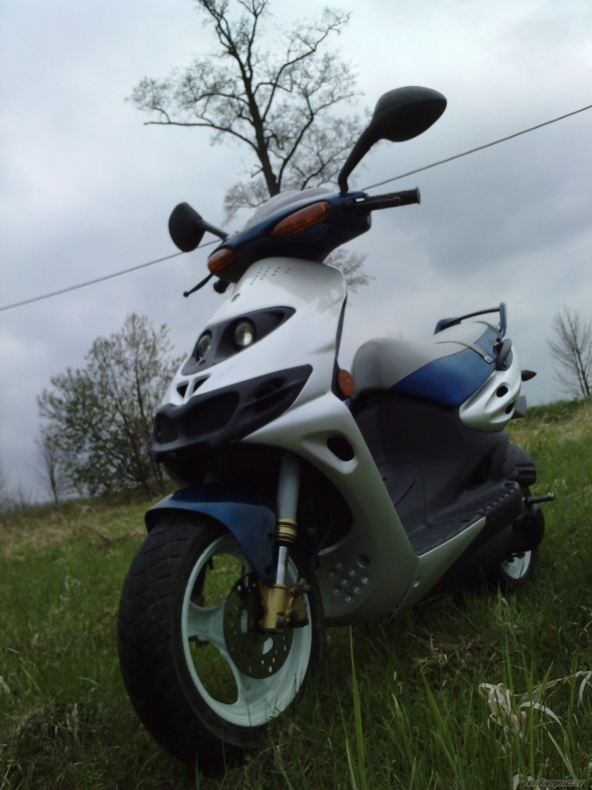 Photo 2549309