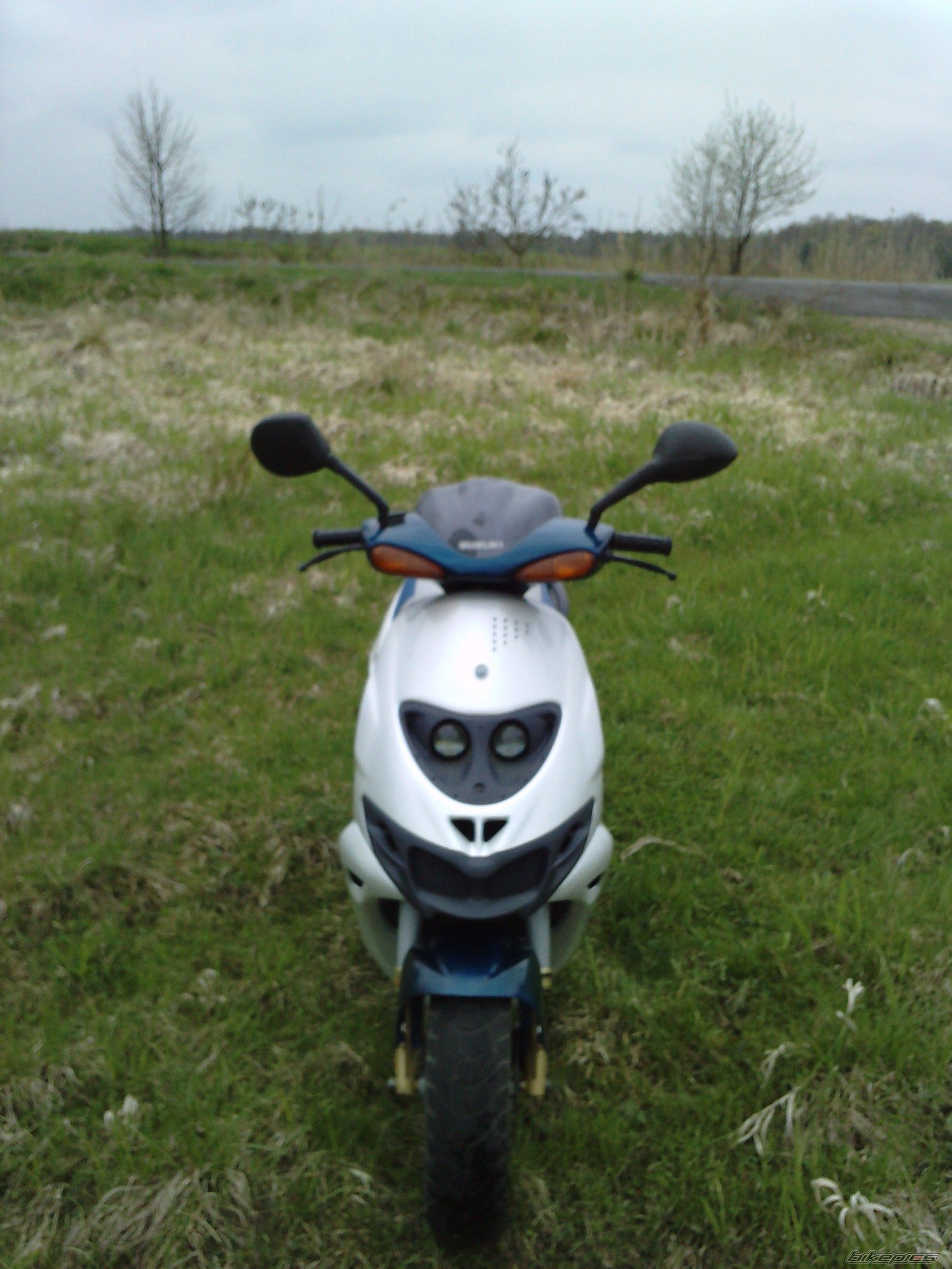 Photo 2549310