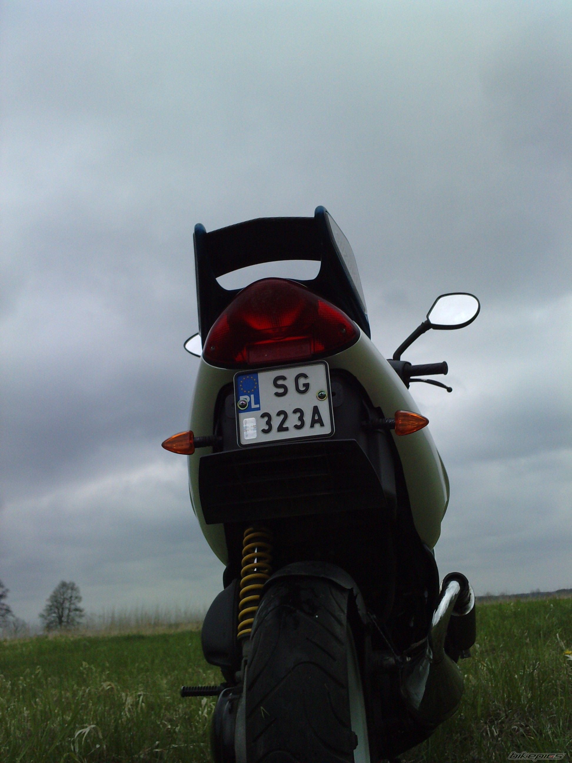 Photo 2549313