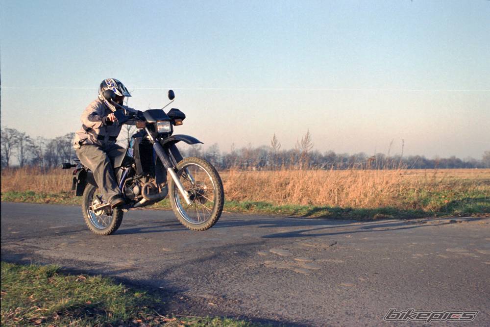 Photo 254932