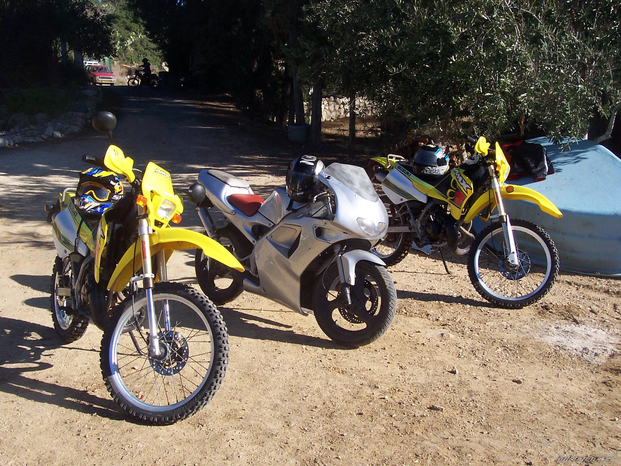 Photo 254939