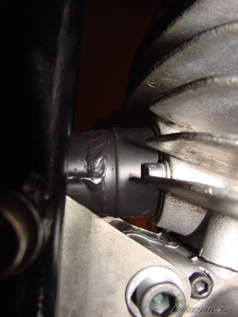Photo 2549393