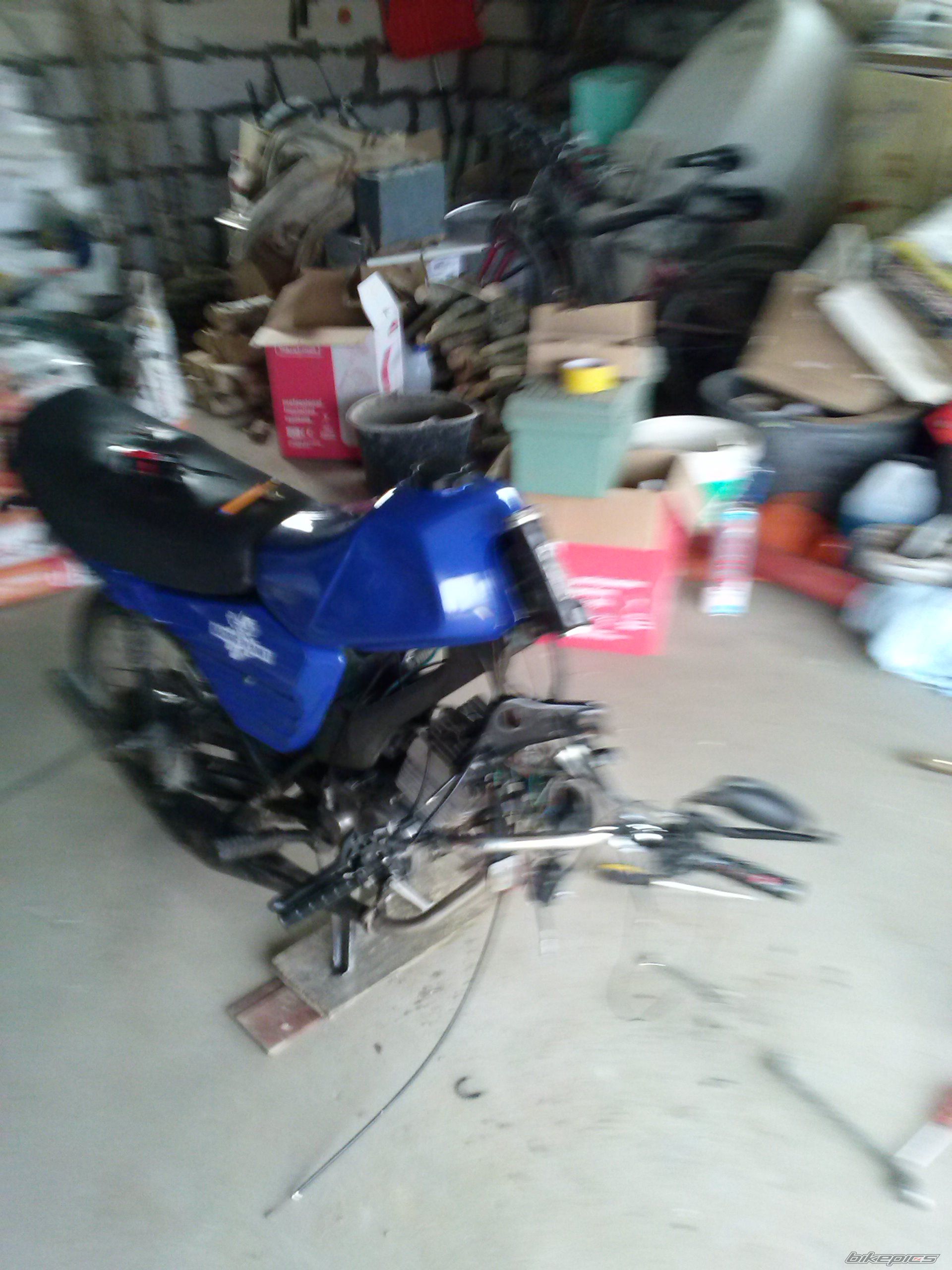 Photo 2549459