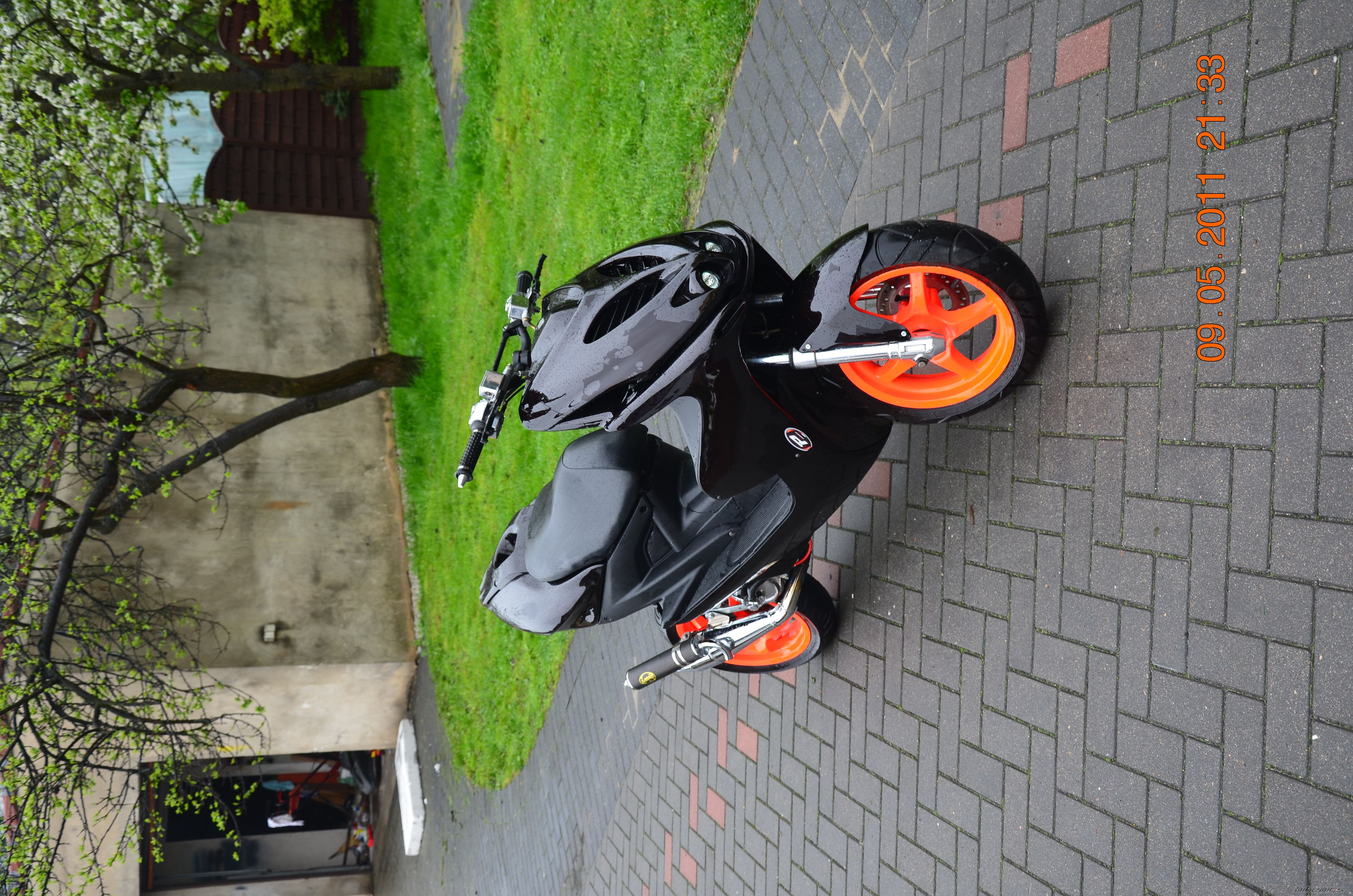 Photo 2549493