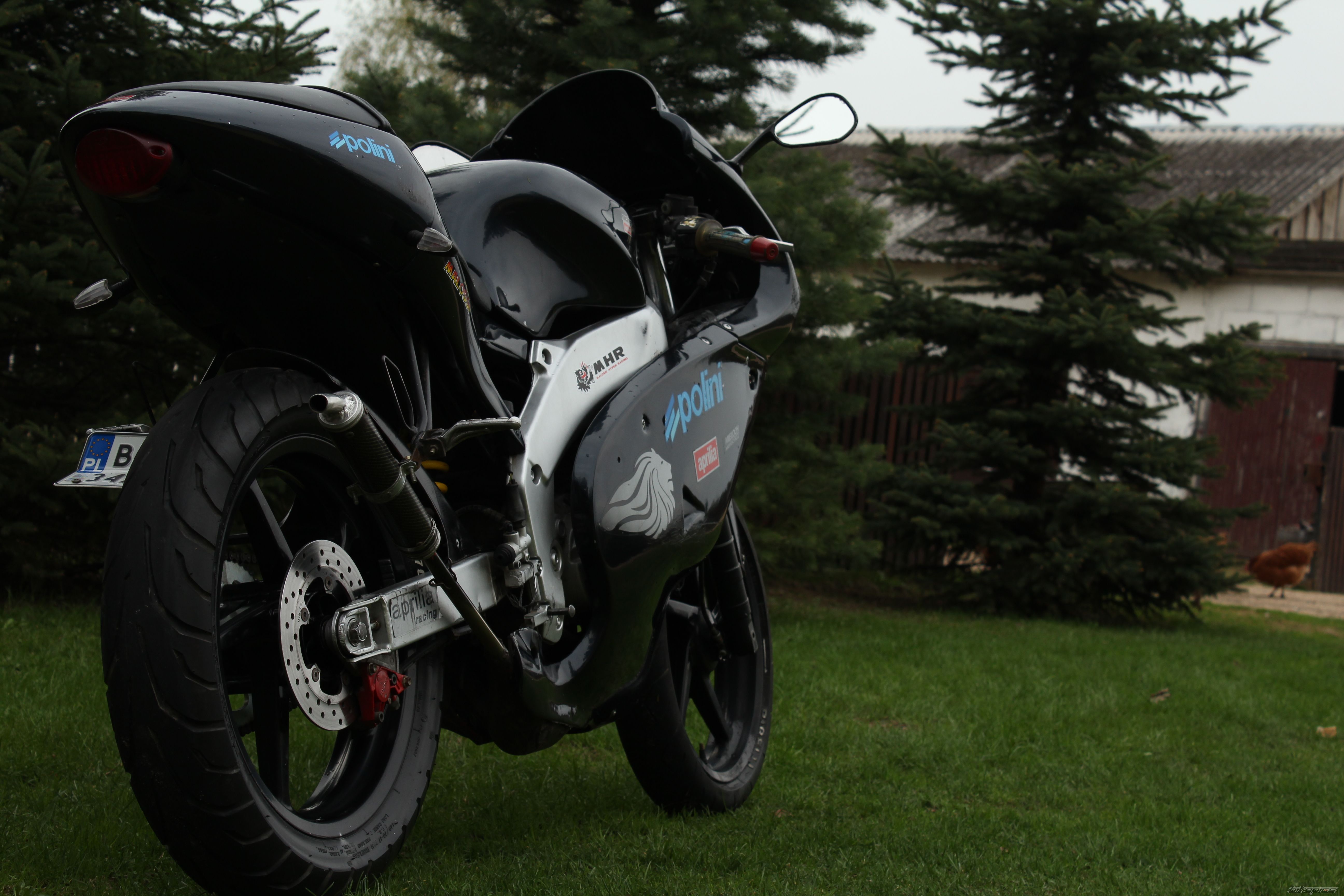 Photo 2549513