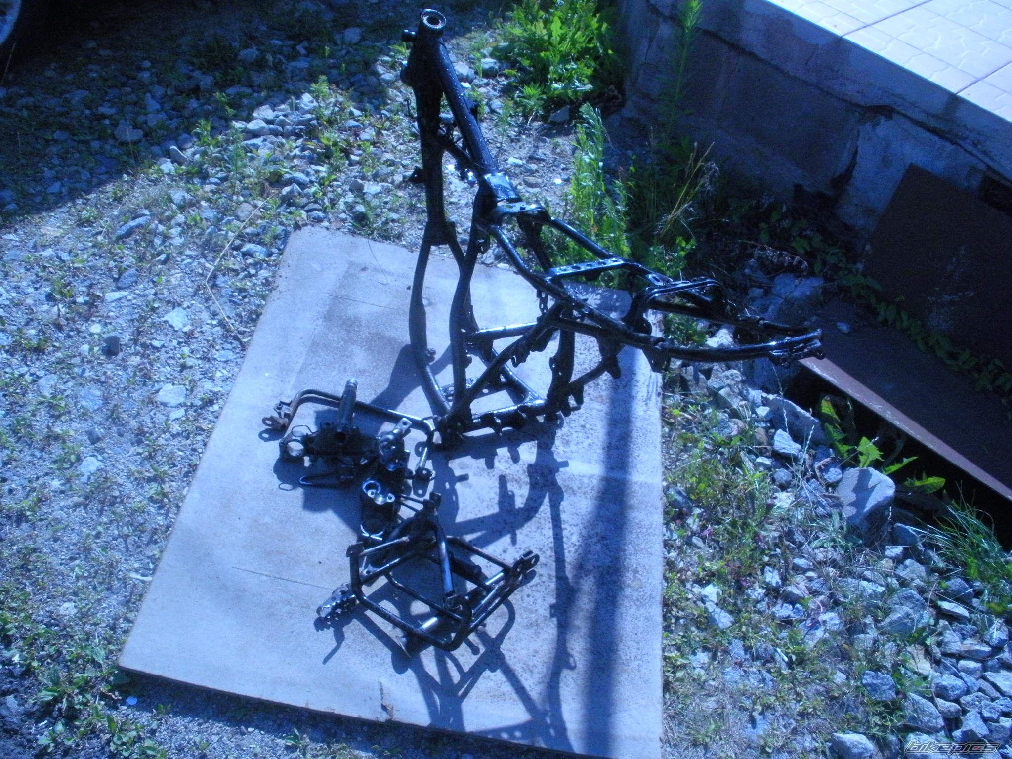 Photo 2549541