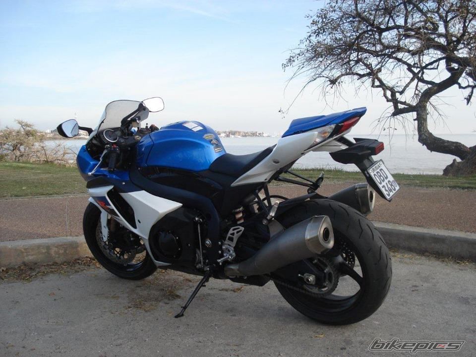 Photo 2549661