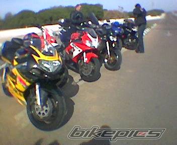 Photo 254973