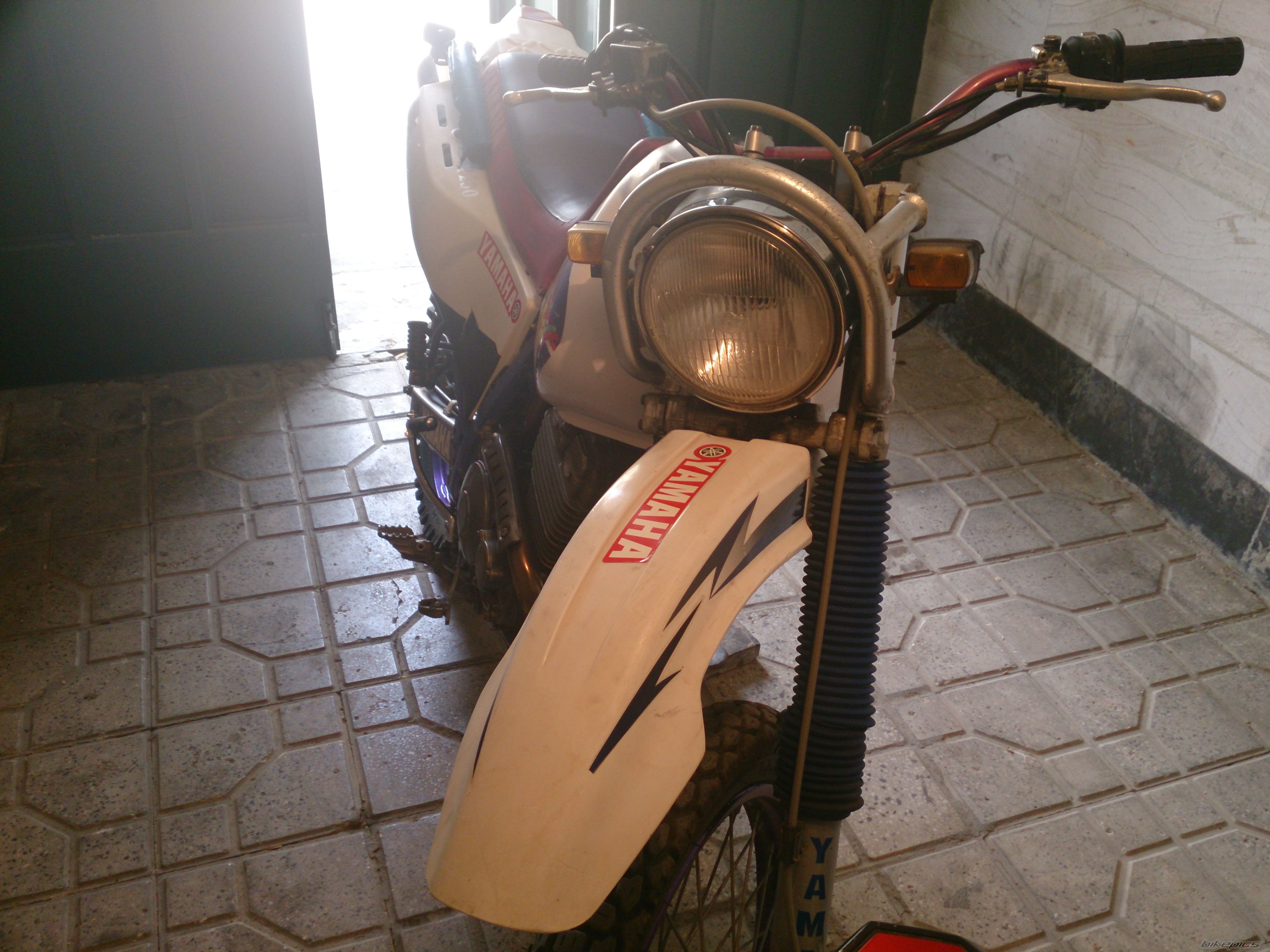 Photo 2549758