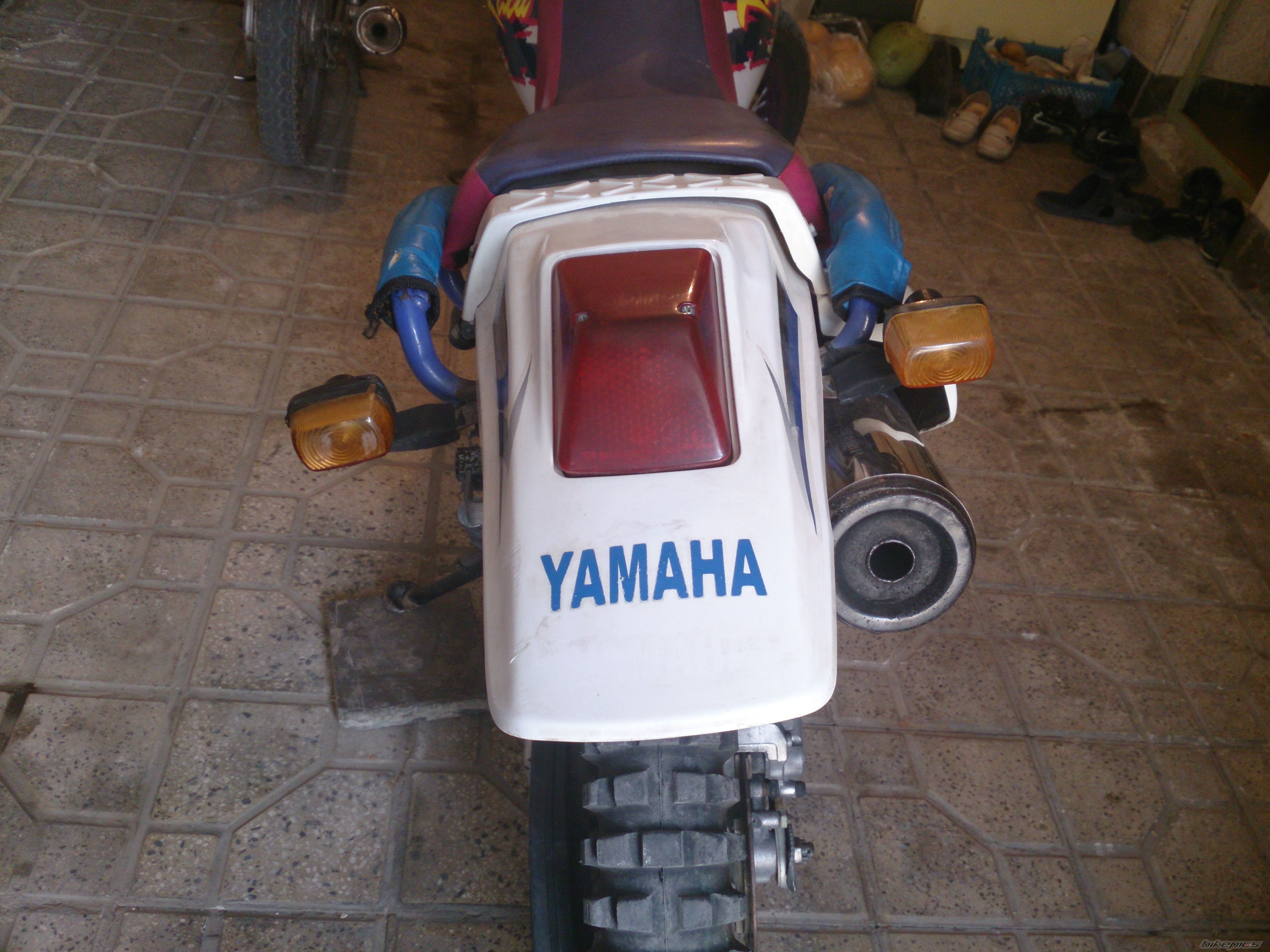 Photo 2549763