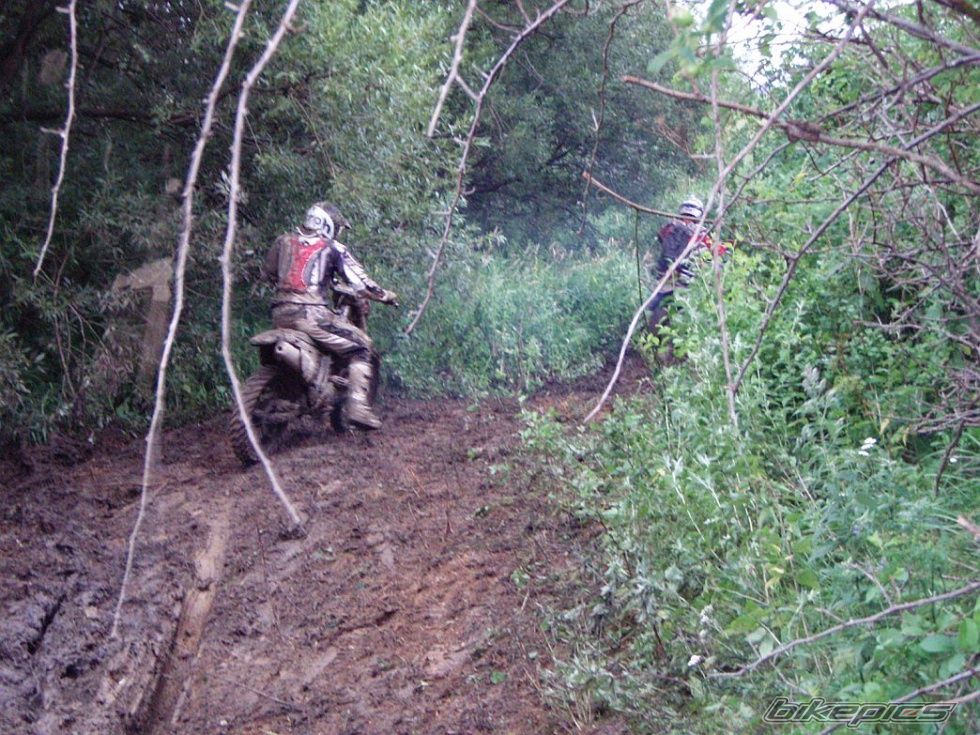 Photo 2549848