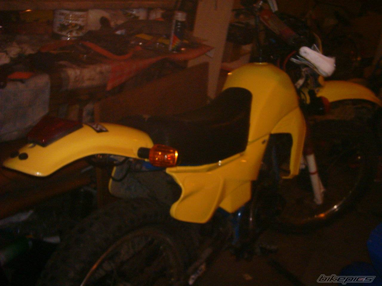 Photo 254987