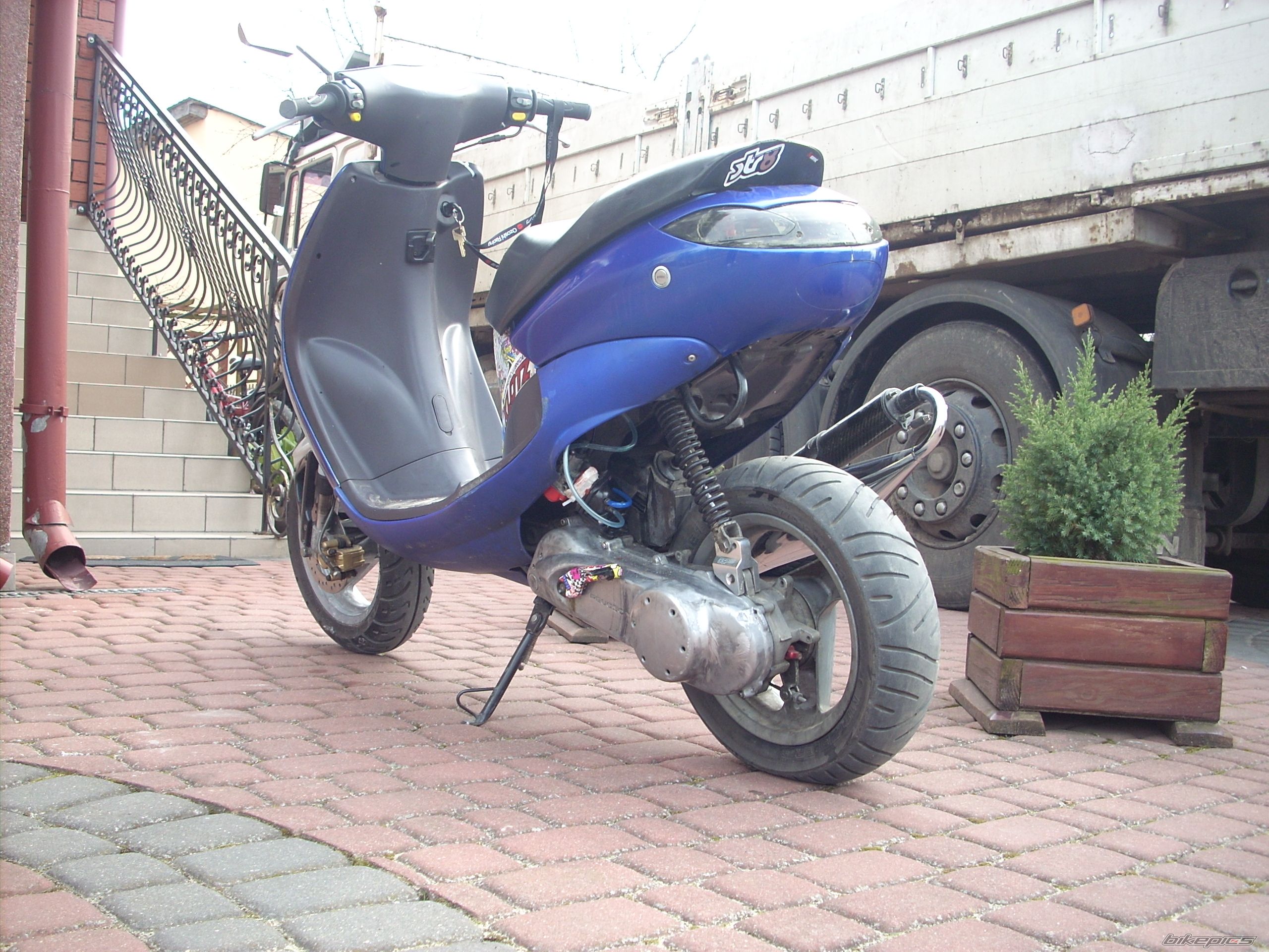 Photo 2549880