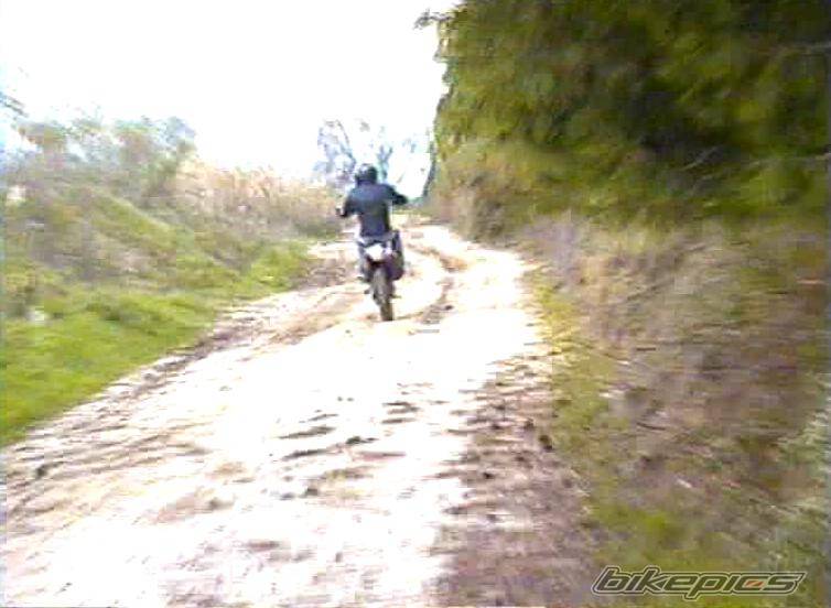 Photo 254992