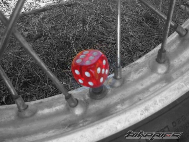 Photo 2549997