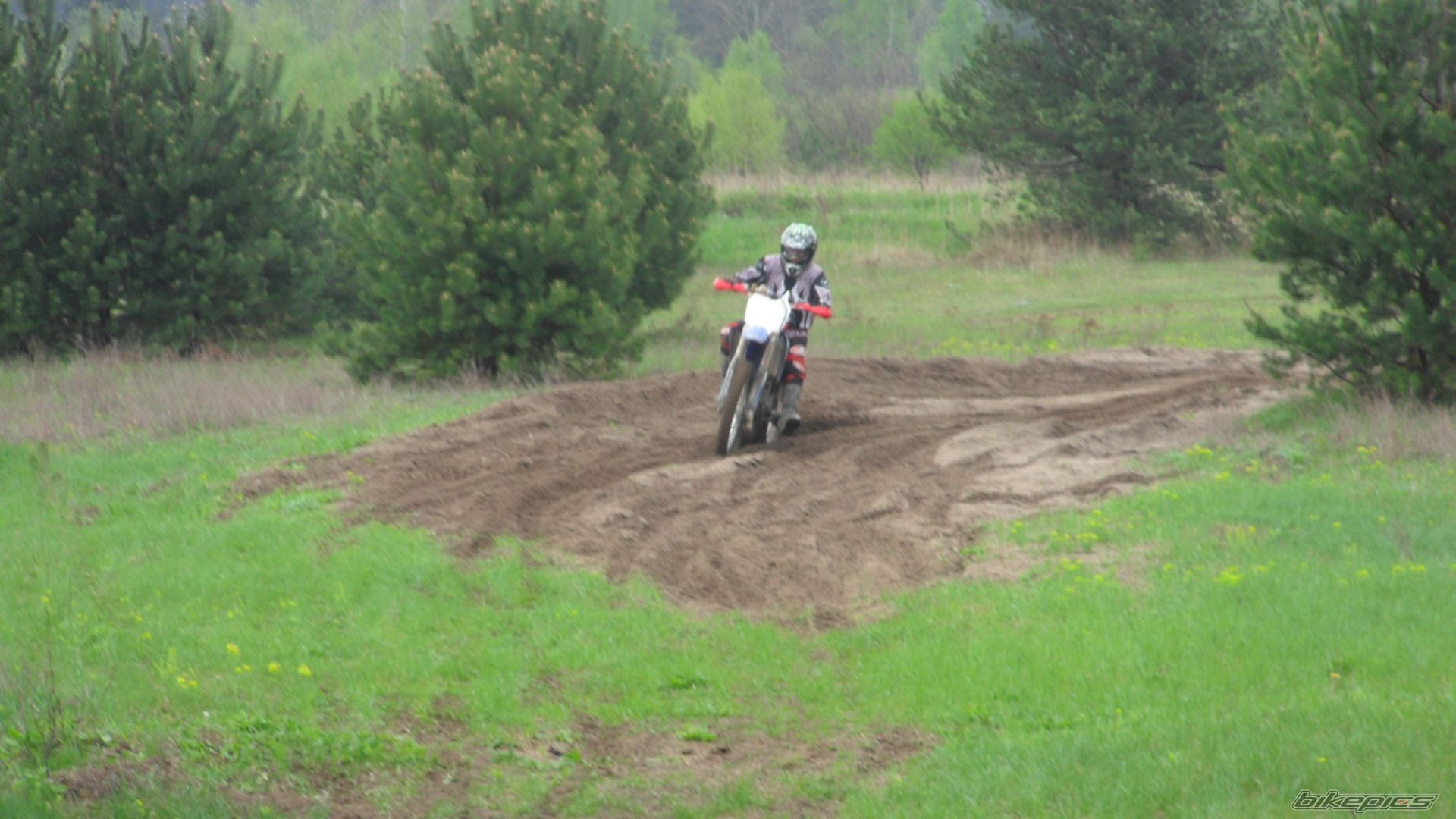 Photo 2550023