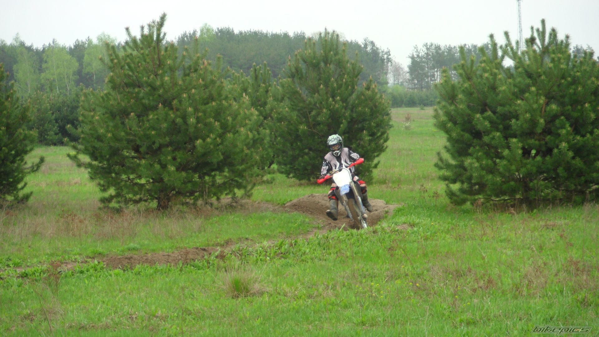 Photo 2550027