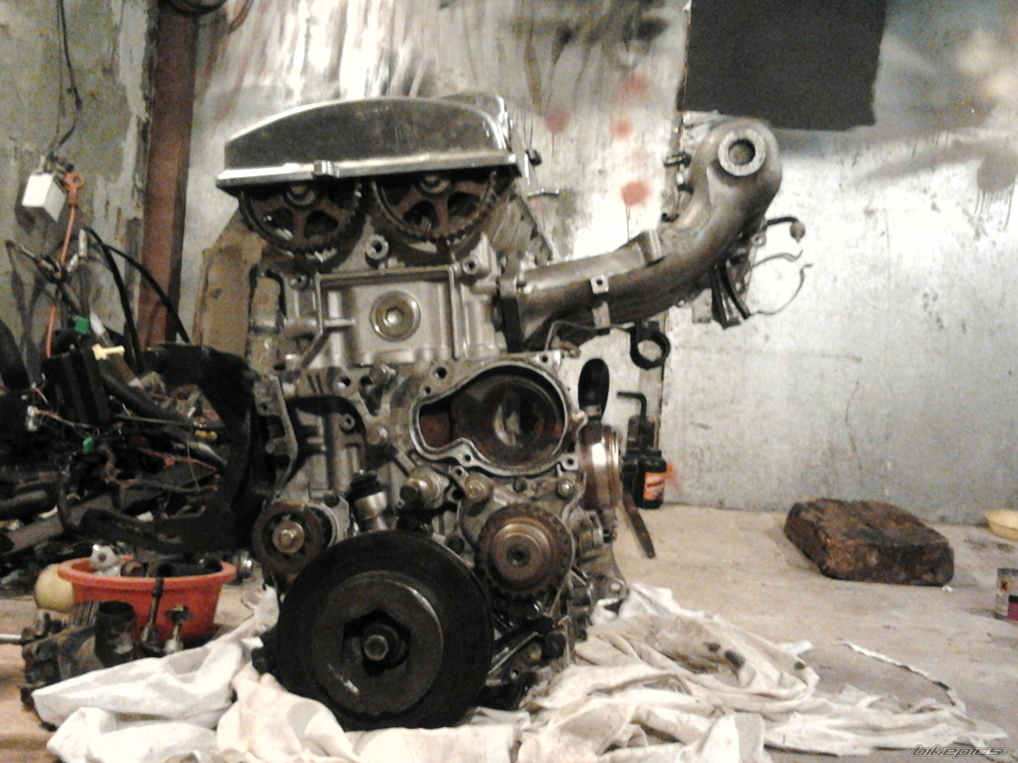 Photo 2550028