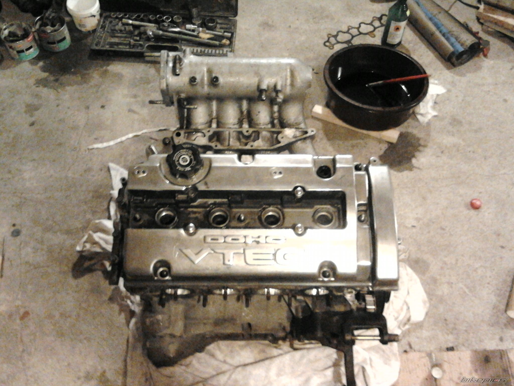 Photo 2550032