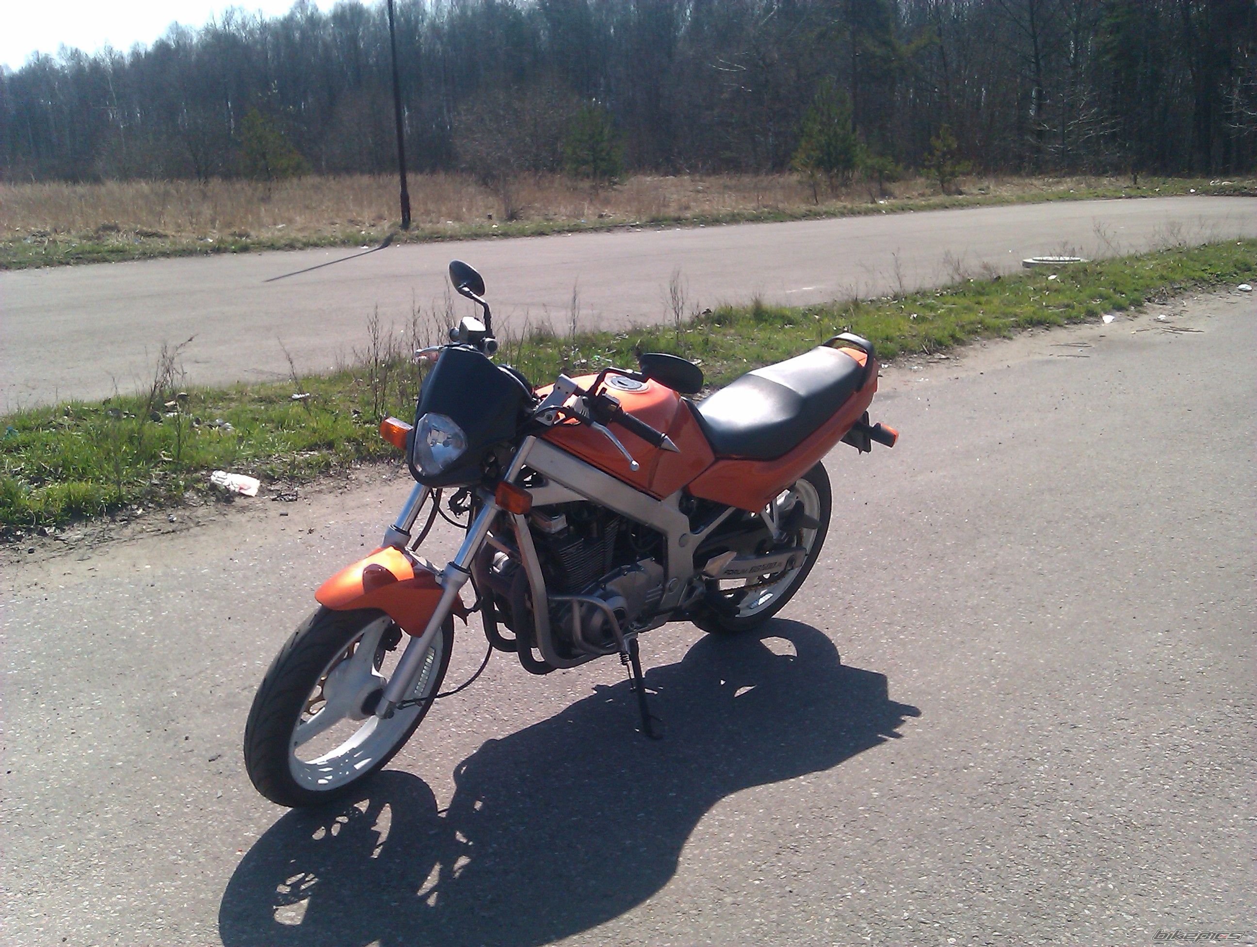 Photo 2550033
