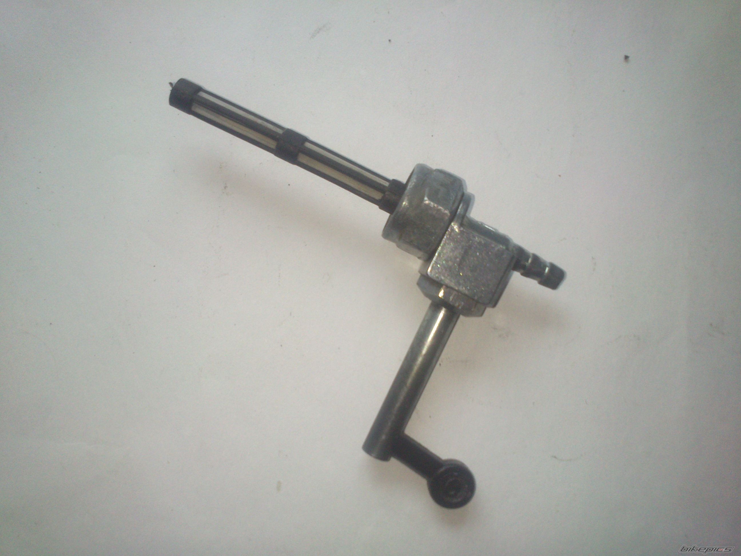 Photo 2550057