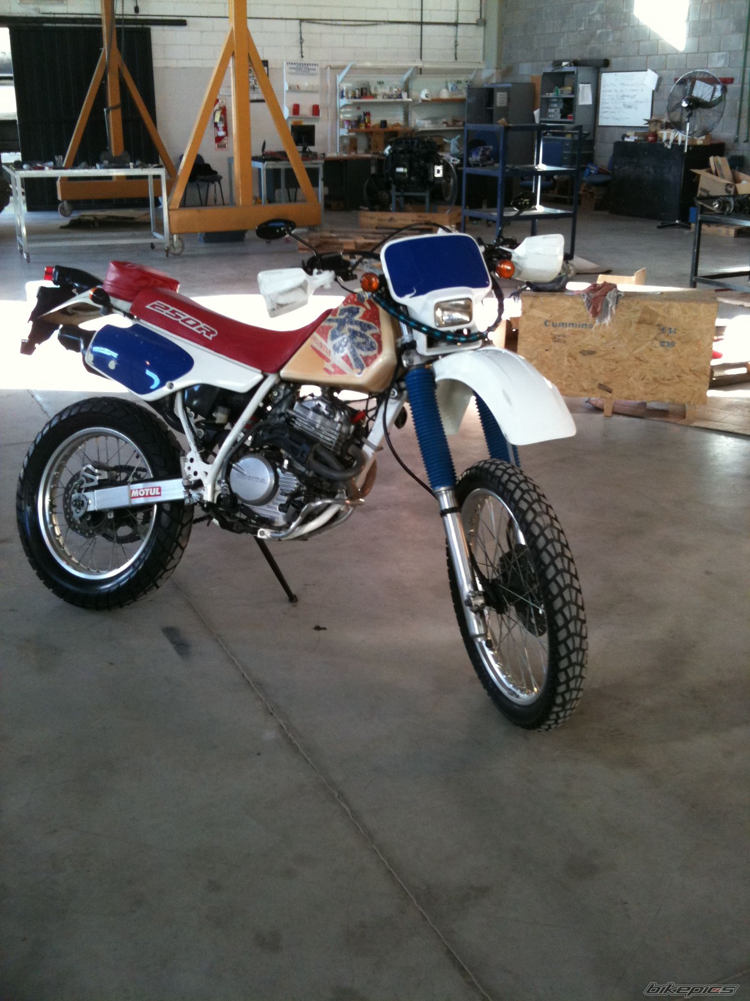 Photo 2550075