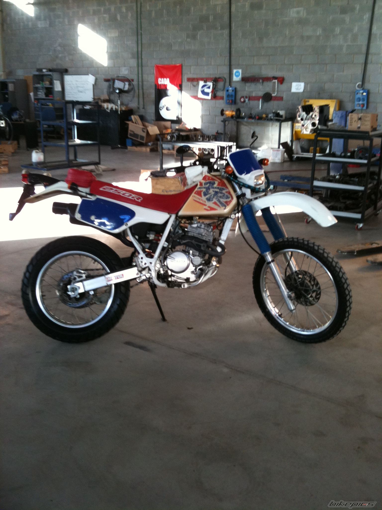 Photo 2550095