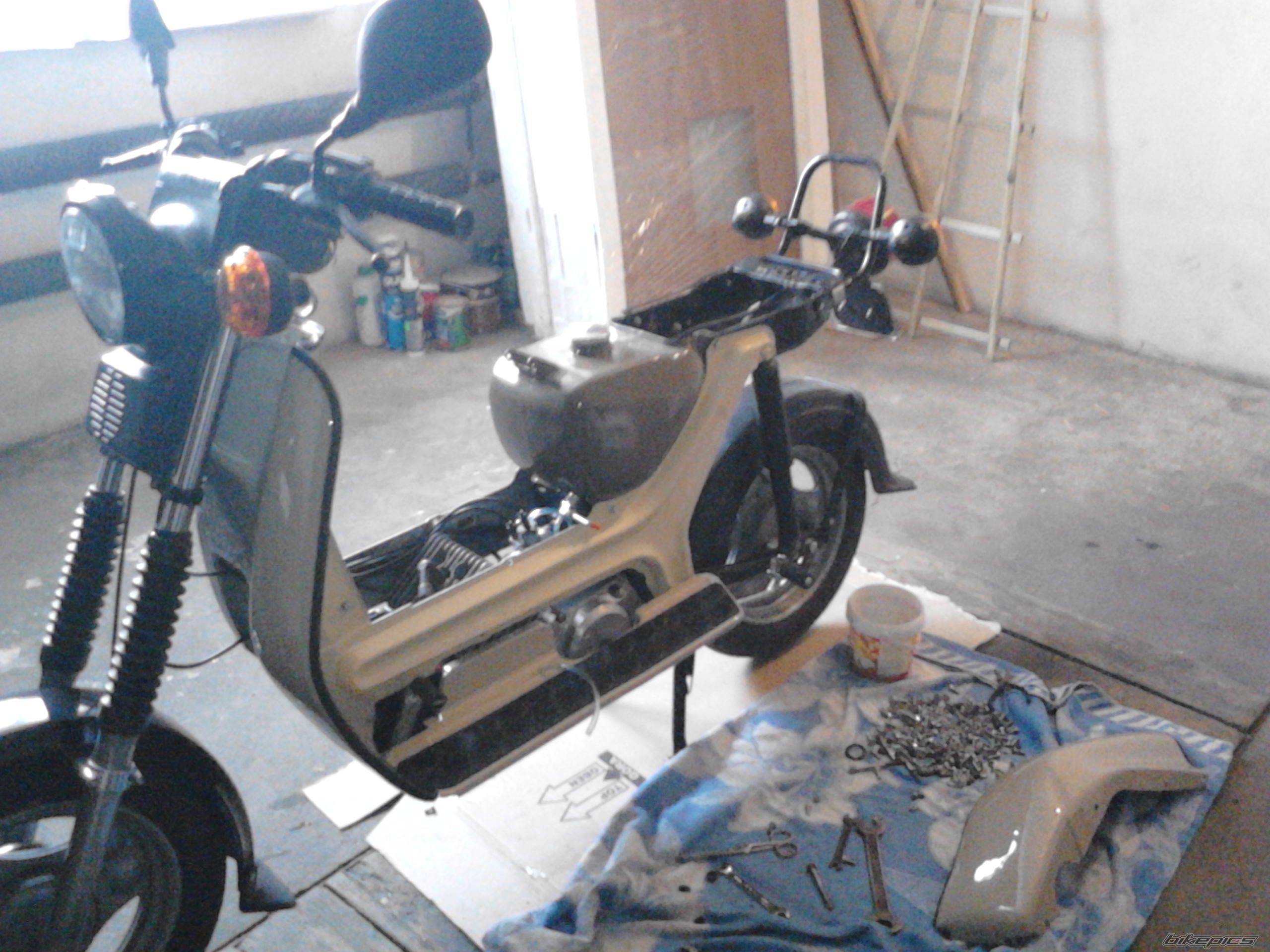 Photo 2550121