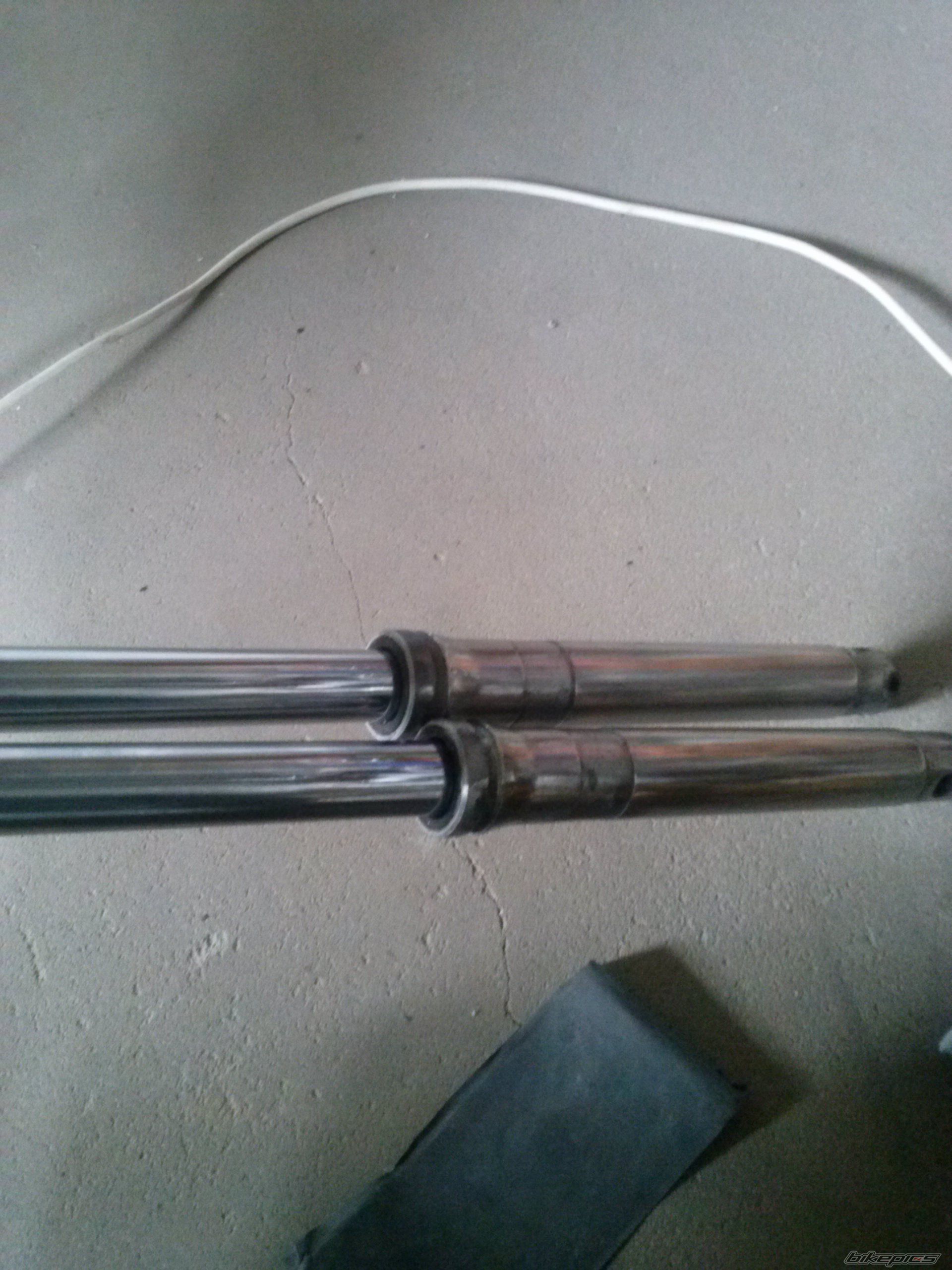 Photo 2550129