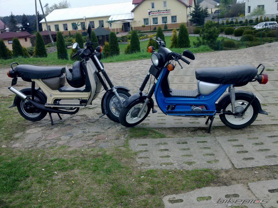 Photo 2550146