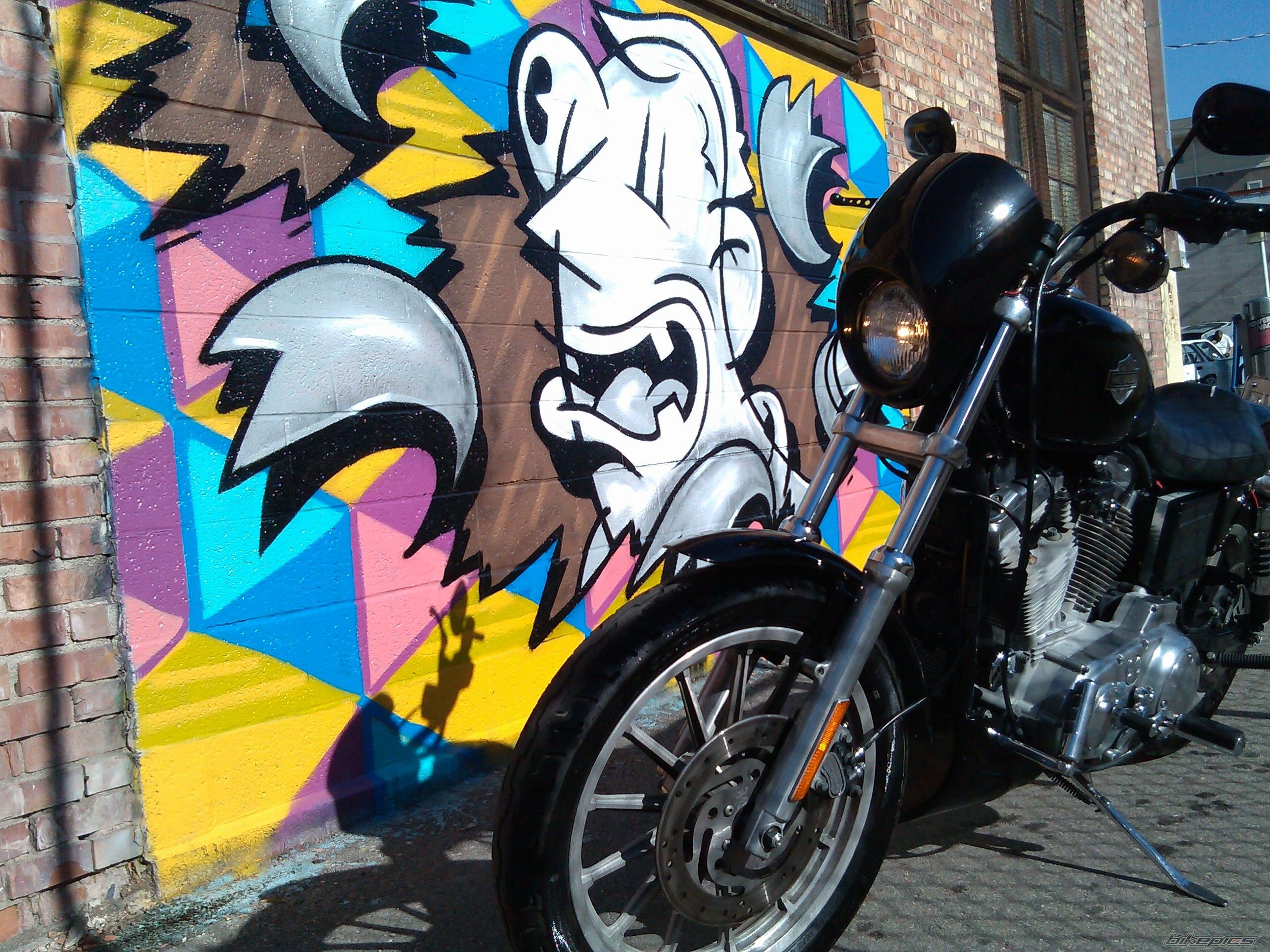 Photo 2550158