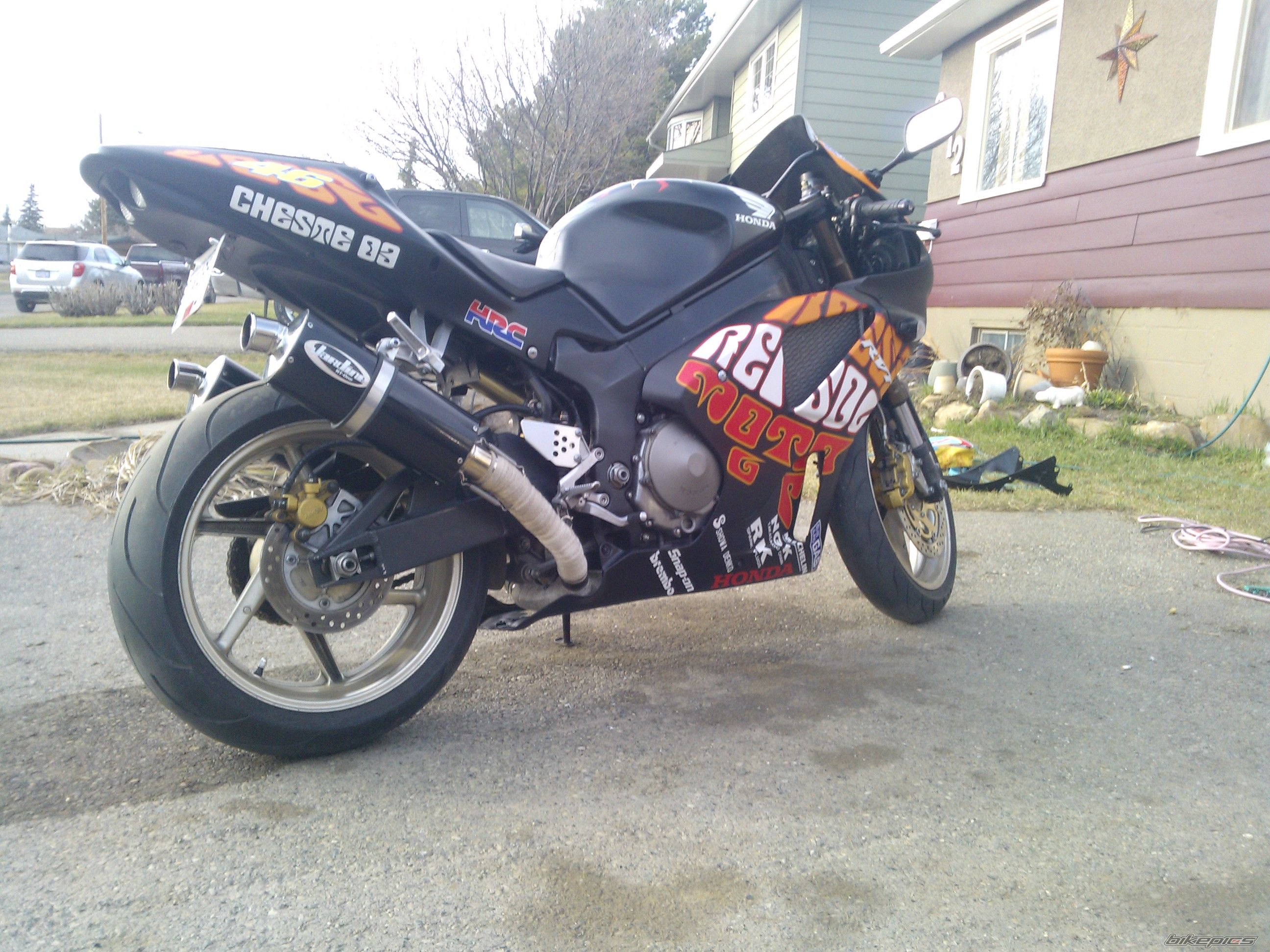 Photo 2550177
