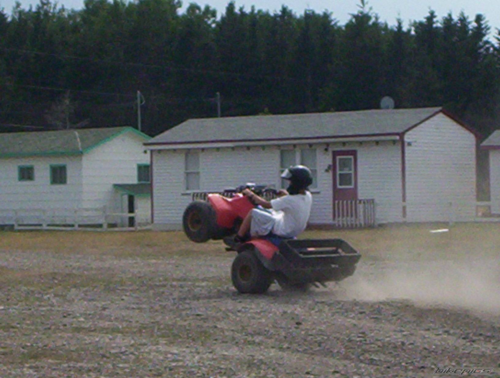 Photo 255019