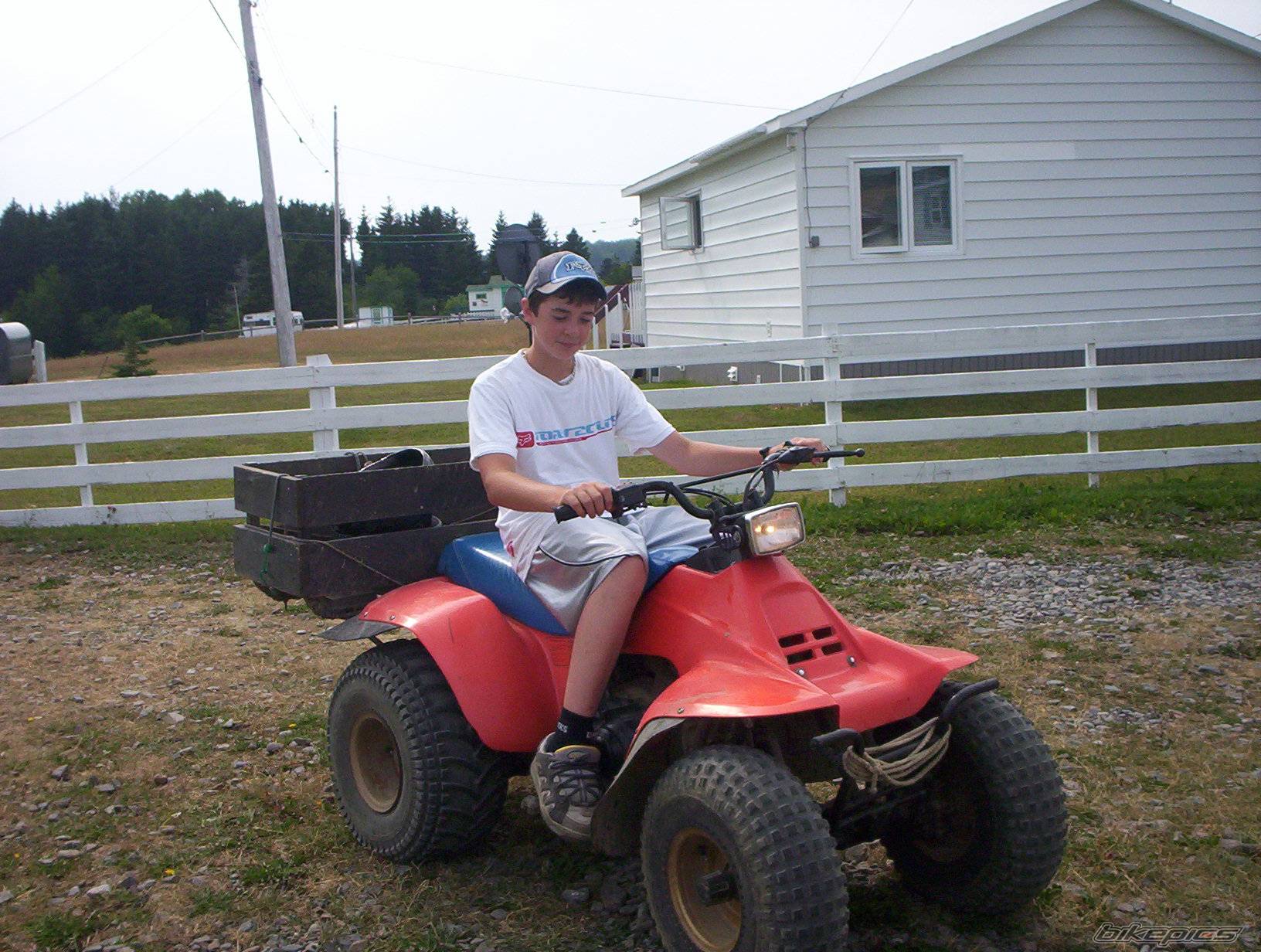 Photo 255020