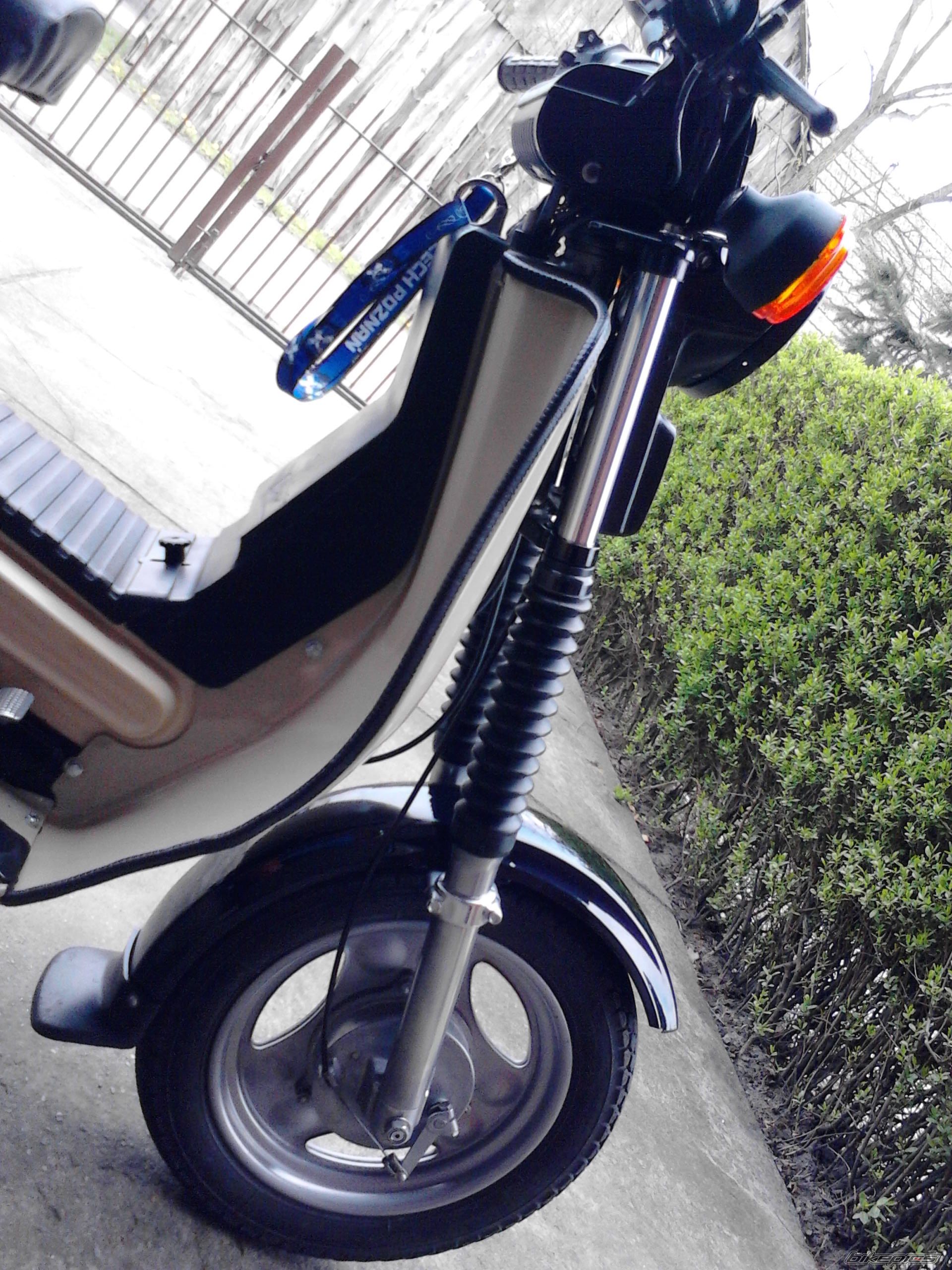 Photo 2550228