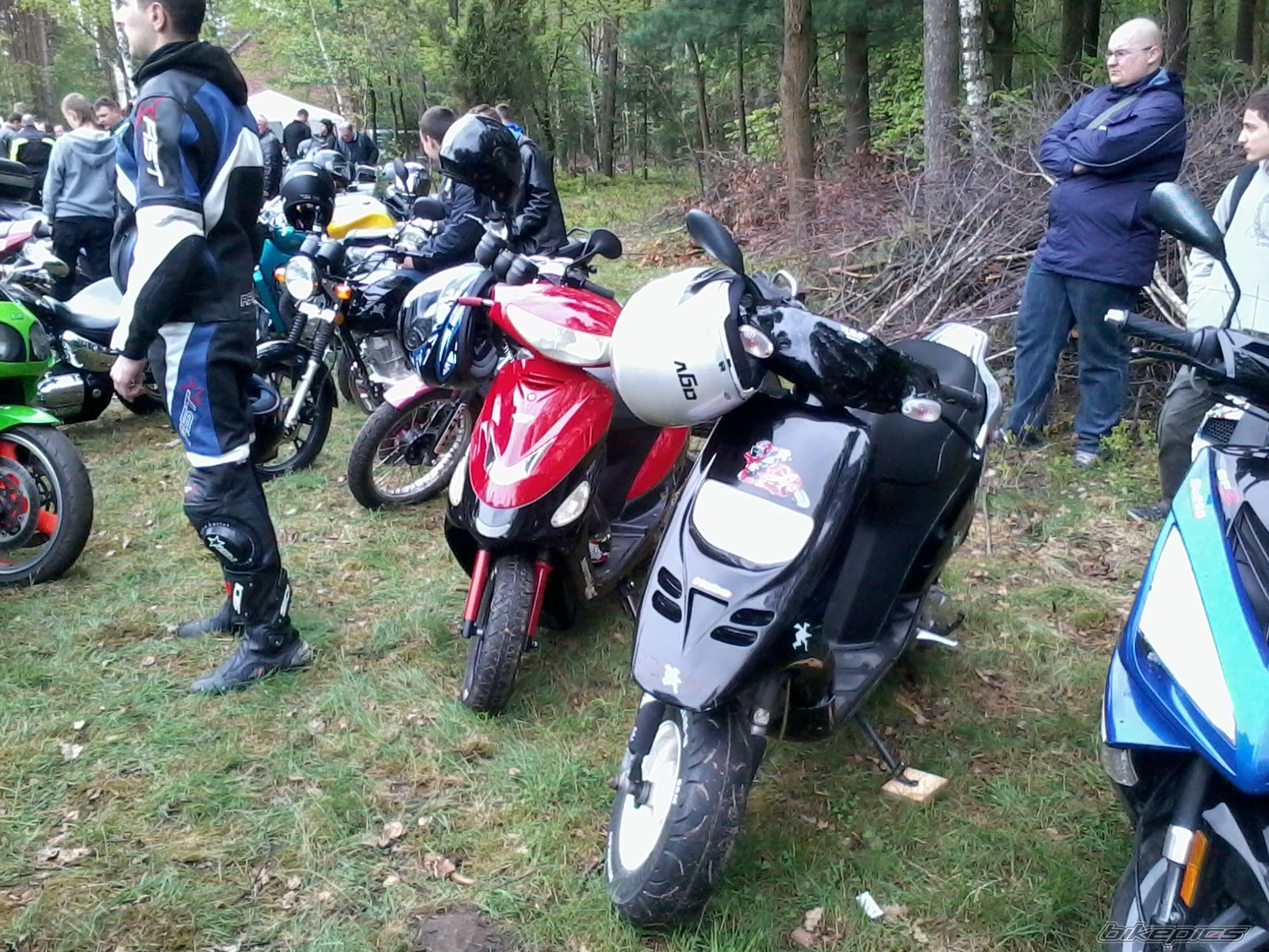 Photo 2550260