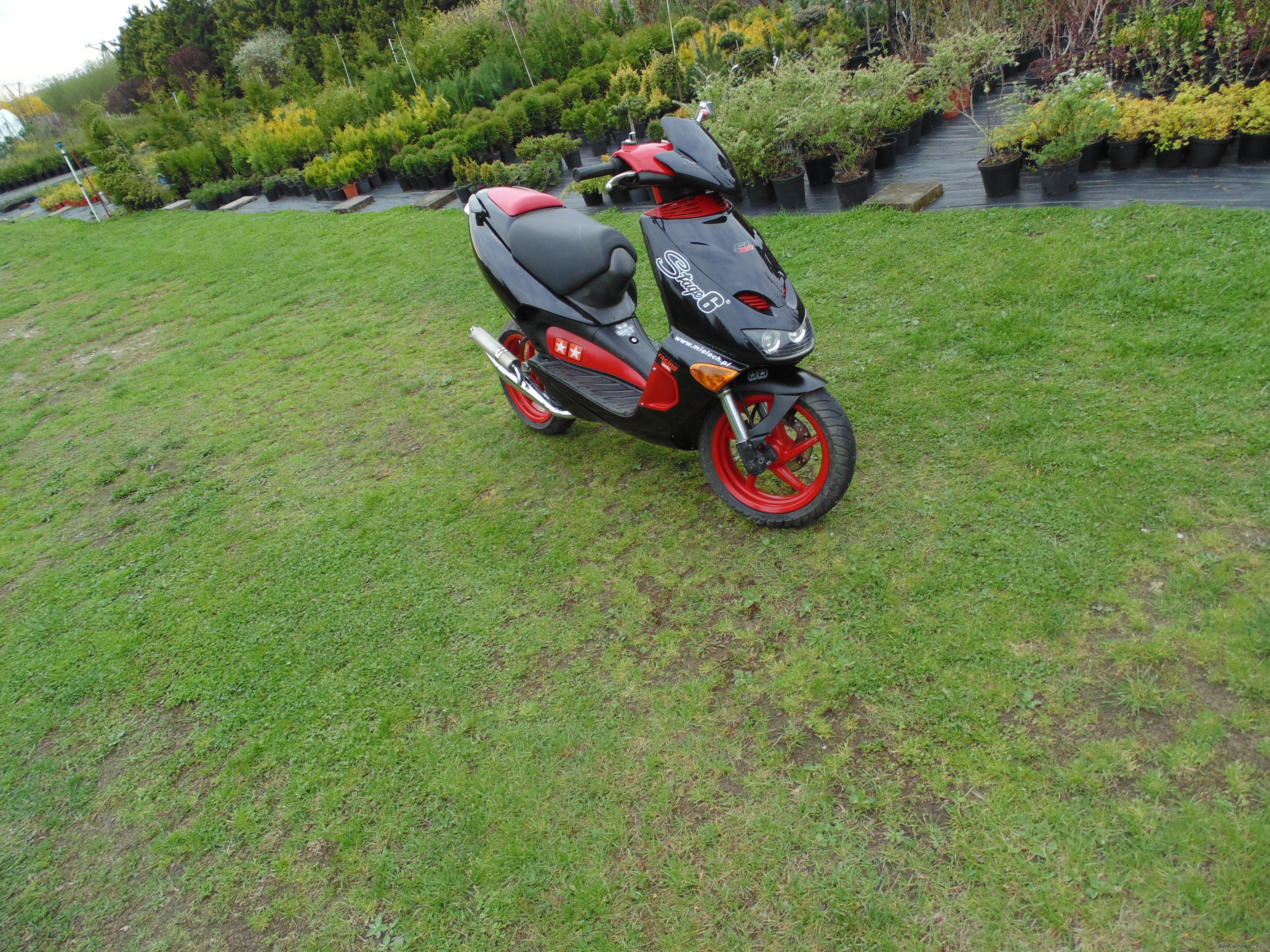 Photo 2550334